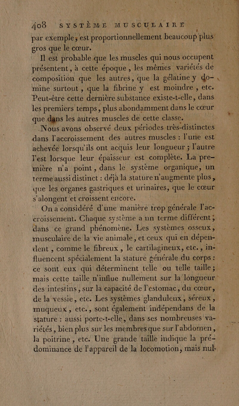 par exemple 3: est TE beaucoup PIuS gros que le cœur. I est probable, que les muscles qui. nous occupent présentent , à cette époque , les mêmes variétés de | | composition que les autres, que la gélatine ÿ do- , mine surtout , que la ADS y est moindre , etc. Peut-être cette dernière substance existe-t-elle, dans les premiers temps, plus abondamment dans le cœur que dans les autres muscles de cette classe. Nous avons observé deux périodes très-distinctes dans l'accroissement des autres muscles : l'une est achevée lorsqu'ils ont acquis leur longueur ; l’autre lest lorsque leur épaisseur est oi HAELAE a pre- mière n'a point, dans le système organique, un terme aussi distinct : déjà la stature n’ augmente plus, que les organes gastriques et urinaires, que le cœur s'alongent et croissent encore. | On a considéré d’une manière trop SEA l'ac- croissement. Chaque système a un terme différent ; dans ce grand phénomène. Les systèmes OSSeUX » musculaire de la vie animale, et ceux qui en dépen- dent , comme le fibreux , le bo etc. , in- fluencent spécialement la. stature générale du corps: ce sont eux qui déterminent telle ou telle taille; mais cette taille n'influe nullement sur la longueur : des intestins, sur la capacité de l’éstomac, du cœur, de la vessie, etc. Les systèmes glanduleux, séreux, muqueux , etc., sont également indépendans de la stature : aussi porte-t-elle, dans ses nombreuses va- rictés, bien plus sur les membres que sur l'abdomen, la poitrine , etc. Une grande taille indique la pré- dominance de l'appareil de la locomotion, mais nul: