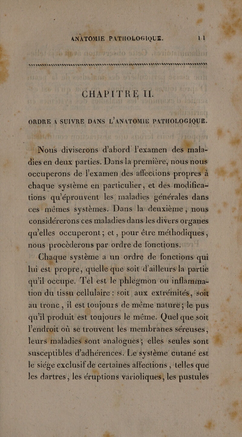 PA RAA A RAA AAA VS AA RAR ANA NA RAA AR VAS RAA LULU NAN EN AR AA AAA CHAPITRE IL ORDRE 4 SUIVRE DANS L’ANATOMIE PATHOLOGIQUE. fs. - Nous diviserons d’abord l’examen des mala- dies en deux parties. Dans la première, nous nous occuperons de l'examen des affections propres à à chaque système en particulier, et des modifica- tions qu'éprouvent les maladies générales dans ces mêmes systèmes. Dans la deuxième ; nous considérerons ces maladies dans les divers organes qu'elles occuperont; et, pour être méthodiques , nous procèderons par ordré de fonctions. lui est propre, quelle que soit d’ailleurs la partie qu'il occupe. Tel est le phlegmon ou inflamima: on du üussu cellulaire : soit aux extrémités, soit au tronc , il ést toujours de même nature; le pus quil produit est toujours le même. Quel que soit l'endroit où se trouvent les membranes séreuses, leurs maladies sont analogues; elles seules sont susceptibles d’adhérences. Le système cutané est le siége exclusif de certaines affections , telles que les dartres , les éruptions varioliques, les pustules