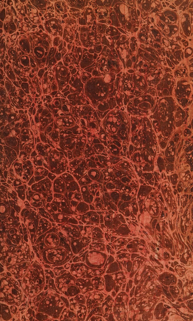 digitised image 3