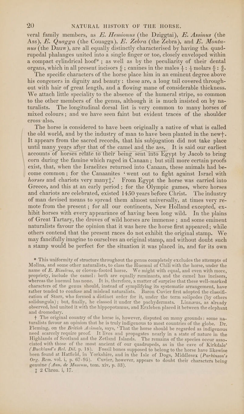 veral family members, as /. Hemionus (the Dziggtai), H. Assinus (the Ass), E. Quagga (the Couagga), #. Zebra (the Zebra), and #. Monta- nus (the Dauw), are all equally distinctly characterised by having the quad- rupedal phalanges united into a single finger or toe, closely enveloped within a compact cylindrical hoof* ; as well as by the peculiarity of their dental organs, which in all present incisors §; canines in the males +: 4 molars £: $. The specific characters of the horse place him in an eminent degree above his congeners in dignity and beauty: these are, a long tail covered through- out with hair of great length, and a flowing mane of considerable thickness. We attach little speciality to the absence of the humeral stripe, so common to the other members of the genus, although it is much insisted on by na- turalists. The longitudinal dorsal list is very common to many horses of mixed colours; and we have seen faint but evident traces of the shoulder cross also. The horse is considered to have been originally a native of what is called the old world, and by the industry of man to have been planted in the new+. It appears from the sacred records, that his subjugation did not take place until many years after that of the camel and the ass. It is said our earliest _ accounts of horses relate to their being sent into Egypt by Jacob to bring \ corn during the famine which raged in Canaan ; but still more certain proofs ' exist, that, when the Israelites returned into Canaan, these animals had be- _ come common; for the Canaanites ‘went out to fight against Israel with horses and chariots very manyt.’ From Egypt the horse was carried into Greece, and this at an early period; for the Olympic games, where horses and chariots are celebrated, existed 1450 years before Christ. The industry of man devised means to spread them almost universally, at times very re- mote from the present ; for all our continents, New Holland excepted, ex- hibit horses with every appearance of having been long wild. In the plains of Great Tartary, the droves of wild horses are immense ; and some eminent naturalists favour the opinion that it was here the horse first appeared; while others contend that the present races do not exhibit the original stamp. We may fancifully imagine to ourselves an original stamp, and without doubt such a stamp would be perfect for the situation it was placed in, and for its own * This uniformity of structure throughout the genus completely excludes the attempts of Molina, and some other naturalists, to class the Huemul of Chili with the horse, under the name of E. Bisulcus, or cloven-footed horse. We might with equal, and even with more, propriety, include the camel: both are equally ruminants, and the camel has incisors, whereas the huemul hasnone. It is, therefore, a matter of surprise that these well-marked characters of the genus should, instead of symplifying its systematic arrangement, have rather tended to confuse and mislead naturalists. Baron Cuvier first adopted the classifi- cation of Storr, who formed a distinct order for it, under the term solipedes (by others solidungula) ; but, finally, he classed it under the pachydermata. Linneus, as already observed, had united it with the hippopotamus, and Erxleben placed it between the elephant and dromedary. ¢ The original country of the horse is, however, disputed on many grounds: some na- turalists favour an opinion that he is truly indigenous to most countries of the globe. Dr. Fleming, on the British Animals, says, ‘That the horse should be regarded as indigenous need scarcely require proof. It lives and propagates nearly in a state of nature in the Highlands of Scotland and the Zetland Islands. The remains of the species occur asso~ ciated with those of the most ancient of our quadrupeds, as in the cave of Kirkdale’ (Buckland’s Rel. Dil. p. 18). Fossil bones supposed to belong to the horse have likewise been found at Hatfield, in Yorkshire, and in the Isle of Dogs, Middlesex (Parkinson’s Org. Rem. vol. i, p. 67-95). Cuvier, however, appears to doubt their characters being genuine (Ann, de Museum, tom. xiv, p. 33). } 2 Chron. i, 17.