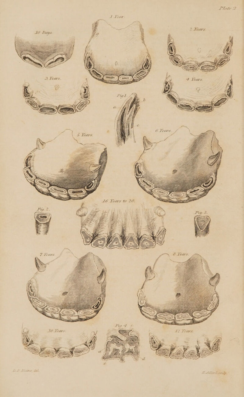 Pay, Car % 6 Years. \ aia Nuit \\ \\ ae