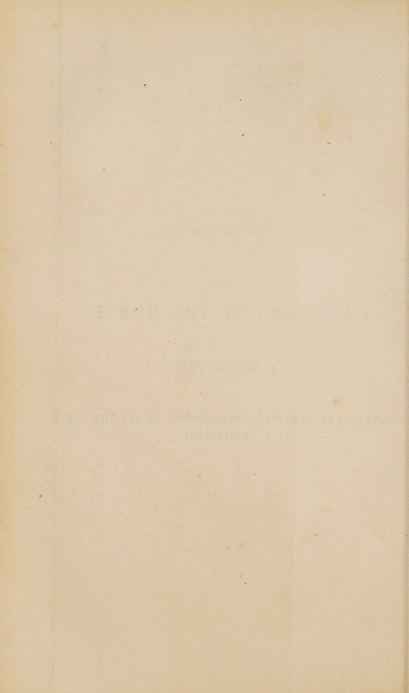 wh aed ; Saya . cee eh ag “ aS “e aaa ri ss ne ¥ ae « - js Re > 5 eT 25 - . ’ STAG > “or BS. : +, Mr