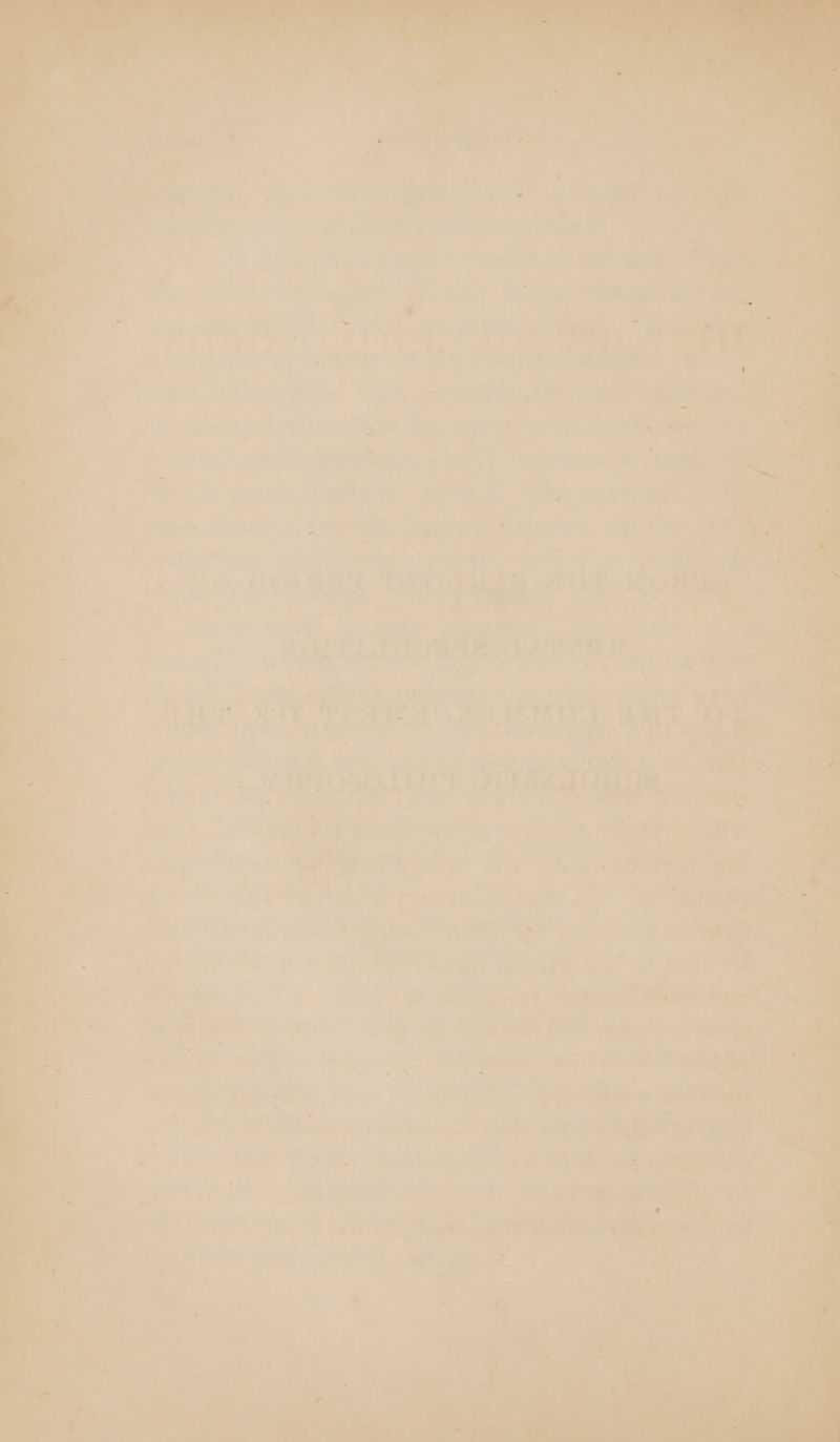 : *. o@ > DAeP 5 oe, ~ bape ere OVP Ss OE ee ae Ant eee {he eae - e lrg: were fee, Pe