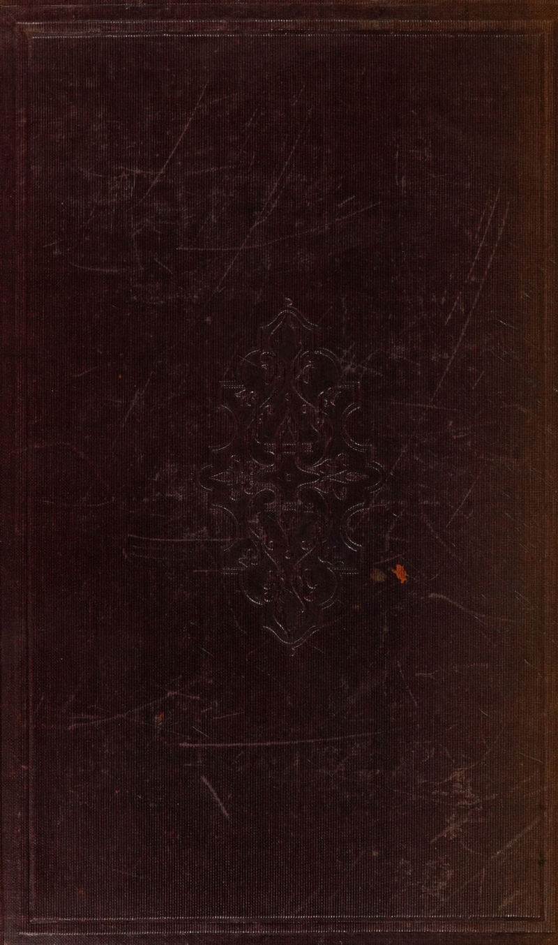 m ‘i The - aed a PRE panna 8 Nee: = For rae te nthe er ree a —aeegotoor en