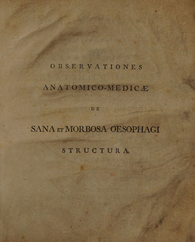 digitised image 3