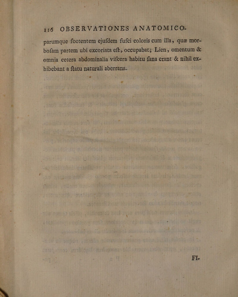 parumque foetentem ejufdem fufci coloris cum illa, que mor- bofam partem ubi excoriata eft, occupabat;: Lien, omentum &amp; omnia cetera abdominalia vifcera: habitu fana erant &amp; nihil ex- hibebant a ftatu naturali aberrans. Ld FI.