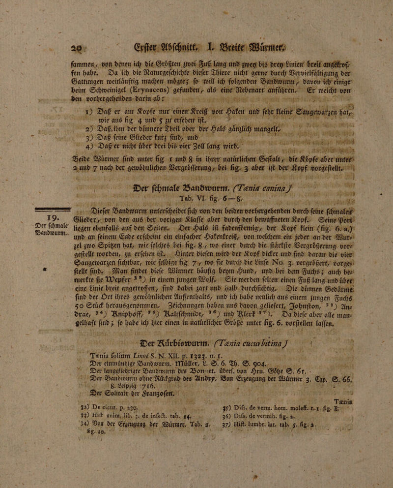 fammen, von denen ich die 9 zwei Fuß FAR und ROH drey Linien breit angektof⸗ fen habe. Da ich die Naturge chichte dieſer Thiere nicht gerne durch Vervielfältigung der Gattungen weitlaͤuftig machen moͤgte; ſo will ich folgenden Bandwurm⸗ davon ich einige beim Schweinigel (Erynaceus) 3 als kei e bebe e Ek weicht am den vorhergehenden darin abb?z b 1 ) Dag er am Kopfe r enter Rec Le and ſehr kleine Saugewarzer . wie aus fig 4 und 5 zu erſehen iſt. Sa RE EN AL eh 1 er 0 05 1 0 29 4 Daß ihm der dünnere 3) Daß ſeine Glieder kurz | ’@ 4) Daß er n icht über brei bis ver en bs w Beide Würmer find: unter fie I und f Ae 7 mach Der Ae Beete se 5. 3 aber in vet e 0 le 997 71 1 10 155 Y 4 N Melden | ur AN { Der ſchnele Bano warnt; (Tania mim). ans 5 55 e eee Tab. VI. 8. 6—8. „ ae: TH a der Hals sin Eu, 3 i fer ah nterfcheibet ſich von den beiden ebe ee 807 feine male 2 5 Die 19. Glieder, von den aus der vorigen Klaſſe aber durch den bewaffneten Kopf. Seine Pori i liegen ebenfalls auf den Seiten. Der Hals ift fadenfoͤrmig / der Kopf klein (fig. 6. a.) RUN und an ſeinem Ende erſcheint ein einfacher Hakenkreiß von welchem ein jeder an der Wur⸗ zel zwo Spitzen hat, wie ſolches bei lig. 8., wo einer durch die ſtaͤrkſte Vergroͤßerung vor⸗ geſtellt worden, zu erſehen 75 Hinter dieſen wird der Kopf dicker und ſind daran die vier i Saugewarzen ſichtbar, wie ſelbige lig 7% wo ſie durch die Liuſe No 3. vergrößert, vorge fſtellt finde Man findet dieſe Würmer häufig beym Hund, und bei dem Fuchs; auch be⸗ merke ſie Wepfer ) in einem jungen Wolf. Sie werden ſelten einen Fuß lang und üben eine Linie breit angetroffen, ßſind dabei zart und halb durchſichtig. Die duͤnnen Gedaͤrme find der Ort ihres gewoͤhnlichen Aufenthalts, und ich habe neulich aus einem jungen Fuchs 50 Stuͤck herausgenommen. Zeichnungen haben uns davon geliefert, Johnſton, ) An⸗ drae, 3*) Kniphoff, ) Kaliſchmidt, 1 und Blert 77). Da diefe aber alle man⸗ K 9 5 . Ben bier einen Ka sr ae be. 6. noeh her 70 A 5 ESTER 0 100 — N- e ee iR 1 Der Rütbiswunn, (Teni nin cui e 0 15 am 5 2 f ; en folium Lig 1 N. XI. p. 1323. n T A, Sea 10 ee e 1 9 5 } 5 4 Der einmündige Bandwurm. Muller. L. S. 6. Th. S. 904. 1 „ f * Der langgliedrigte Bandwurm des Bonner. uͤberſ. von Sn Gd e e. Kr Der e, ohne Ruckgrad des e en e der Würmer 35 en. © 6, - e . Leipzig 716 * . Der Salate der earzeſen. „ 8 I e FIIR in u 15% 858 5 5 15 us f Fa Tania 92) De: eicut. 1 39 Br 30 Ditz de verm. a were. er fi: Br 33) Hift anim. lih. de infe&. 1 0 45575 iR 36) Difs. de vermib. fig. BR 122 l 340 Von der Eee A Birnen, ' 4 370 BR lumbr. bei tab. 5. bg. ER ep R 564% 0 N 1 1