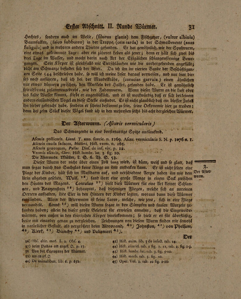 = ler Abschnitt. I. Runde Würm. 31 Bey „ſondern 400 im Welſe, (ſilurus glanis) dem Fiſchgeyer/ (vultur albiula) _ Baumfalken, (Falco fubbureo) in der Trappe, (otis tarda) in der Schwalbenente (auas fuligul a), und in mehrern andern Thieren gefunden. Er hat gewoͤhnlich, wie der Spulwurm, ae eine etwas gekruͤmmte Lage: aber ein zäheres Leben als jener; denn er hält. ſich zwei bis drei Tage im Waſſer, und macht darin nach Art der Eßigaͤlchen ſchlangenfoͤrmige Bewe⸗ gungen. Sein Koͤrper iſt gleichfalls mit Eierſchlaͤuchen wie die vorhergehenden angefüllt; 8 dicht am Schwanze befindet ſich der After. Da ich ihn im vierten Bande der Beſchaͤftigun⸗ gen Seite 544 beſchrieben habe, ſo will ich meine Leſer darauf verweiſen, und nur hier die⸗ ſes noch anführen, daß ich bei der Mandelkraͤhe, (eoracias ‚garrula.) einen ‚ähnlichen \ nur etwas duͤnnern zwiſchen, den Mus keln des Halſes, gefunden habe. Er iſt gewohnlich ſpiralformig zuſammengedreht, wie der Fadenwurm. Wenn dieſer Wurm an die Luft oder ins kalte Waſſer koͤmmt, ſtirbt er augenbliklich, und es iſt merkwuͤrdig daß er ſich bei keinem andern einlaͤndiſchen Vogel an dieſe Stelle einfindet. Es iſt nicht glaublich daß ein bloſſer Zufall ihn hieher gebracht habe, ſondern er ſcheint beſtimmt zu ſein, ſeine Oekonomie hier zu treiben: denn bei zehn me 5 Wg fand ich i in den mehreſien . bis acht dergleichen Würmer, N . 1 5 n me Der Afterwürm. 0 Aeris 50 ee Be a 9 0 Schwanzende i in eine borſtenartige Spitze auslaufend. . Aſcaris pollicaris. Linne. T. aun. fuecic.n. as: Aſcar. en 8. N. p. 1076 1 1. Aſcaris cauda ſedacea, Mülleri, Hiſt. verm. n. 16 ¼ 8 . Afcaris græcorum, Pallas Disſ. de inf, viv. p. 12. . Vermis afearis, Clere, Hiſt. lambr. lat. 3. fig. 10. e x Die Aftermade. Wiüller, L. S. 6. Th. ©. 53. Dieſer Wurm der nicht uͤber einen Zoll lang wi Mn duͤnn, weiß und fo glatt, daß — man ſogar durch das Suchglas keine Ringe an ihm entdecken kann. Er iſt nicht ſelten eine 3. Plage der Kinder, haͤlt ſich im Maſtdarm auf, und verſchiedene Aerzte haben ihn mit dem Der After ⸗ Urin abgehen geſehen. Wulf, 0 fand ihrer eine große Menge in einem Sack zwiſchen a den Haͤuten des Magens. Contulus) hielt dieſe Würmer für eine Art kleiner Schlan⸗ gen, und Kratzenſtein ae behauptet, daß diejenigen Fliegen, welche ſich an unreinen era aufhalten, ihre Eier in den Hintern der Kinder legten, woraus dann dieſe Wuͤrmer f uͤnden. Allein der Afterwurm iſt keine Larve, welche, wie jene, ſich in eine Fliege ee ee Linne ss will dieſen Wurm ſogar i in den Suͤmpfen und faulen Wurzeln ge⸗ f 5 funden haben allein da dieſer große Gelehrte für erwieſen annahm, daß die Eingeweide? wuͤrmer, von außen in den thieriſchen Koͤrper hineinkommen; ſo hielt er es für uͤberfluͤßi gg beide mit einander genan zu vergleichen. Zeichnungen von dieſem Wurm finden wir ſowohl b 9 natürlicher Geſtalt, als vergroͤßert beim Br 40) AR, 45 er von Aha  42): Blerk, Blanchy 2 und Re EI . 5 , 5 er 46) Obl. chir. med. 1 2. Obel. x oo a Hiſt. anim. ib. 3 de inſect. tab. 24: N DAR 37 beim Pallas am angef. %. Hift. afcarid. tab. 1 fig. 3. 11, tab. 2. fig. 1. 400 33 Von der Erzeugung der Würmer, 0 49) Hiſt. Jumbr. lat. tab. 3. fig. 5.1 e 399 am angef. O. : RR 44) Hift. morb, tab. 2. fg. a RE 3 eh be animalbus, ib. 6. b ' e Oper, vel. 1 cb. e „ Cee