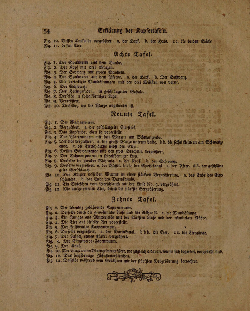 aa ectlrug der fen Fig. 11. deſſen * ER a en achte Rufe BE Fig. 1. Der Sbulbürn aus dem e N ® RE Bea A 1 . Sig. 2. Der Kopf mit drei Warzen. 5 99 0 5 0 ee REN 1 55 0 A Fig. 3. Der Schwanz mit zween Stacheln. o Fig. 4. Der Spulwurm aus dem Pferde. a. fer PER b. Der . 2 Tig. 5. Die dreieckigte Mundofnungen mit den drei Wuͤlſten vou vorne. 5 > 3 Fig. 6. Der Schwanz, 8 D Se Fig: 7. Der Heringsfaden, in geſchlängelter Geſtalt. e . Fig. 8. Derſelbe in ſpiralförmiger Lage. San Ra . ö 5 Fig. 9. Vergroͤßert. * in * | IR In | Fig. 10. Derſelbe, wo die Warze Age e . f = 25 g 8 a Ann HD 91 DM Neunte een e ee Fig. 1. Der Warzenwurm. gar 0 a 5 J Fig. 2. Vergroͤßert. a. der geſchlaͤngelte Eero a en.. e 3 8 Fig. 3. Das Kopfende, eben ſo vorgeſtellt. FCC Fig. 4. Der Warzenwurm mit den Warzen am Sa 1155 i ende. “. die Sur e nebſt den Eiern. Fig. 6. Deſſen Schwanzende Fig. 8. Derſelbe in gerader Richtung. a. der Kopf. b. der Schwanz. gelte Eierſchlauch. ſchlauchs. b. das Ende des Darmkanals. Fig. 11. Ein Stuͤckchen vom Eierſchlauch mit der Linſe No. 3. vergrößert. 7 12. = en 1 Sie, durch die Hirte 3 | Zehnte Tafı el. Fig. t. Der lebendig gebährende Kappenwurm. i Fig. 2. Derſelbe durch die gewoͤhnliche Linſe und die Röhre B. a. die Mundöſſung Fig. 4. Die Eier auf diefelbe Art vorgeſtellt. Fig. 5. Der keilfoͤrmige Kappenwurm. 1 ; % Fig. 6. Derfelbe vergrößert, a. der RE bbb. bie Eier. ce. is einge Fig. 7. Der Ruͤſſel, etwas ſtaͤrker vergroͤßert. % % BE ER Fig. 8. Der Eingeweide Fadenwurm. 1 115 F ; Fr OR nn 75 a 10. Der Eingeweide⸗ ut ge vergt ert, wo zu ei 2 davon wie ſie ſich 6 atten vor e ef ind. Fig. 11. Das herzfoͤrmige uns ionsthierchen. Ye 5 4 8 na a f n sr f