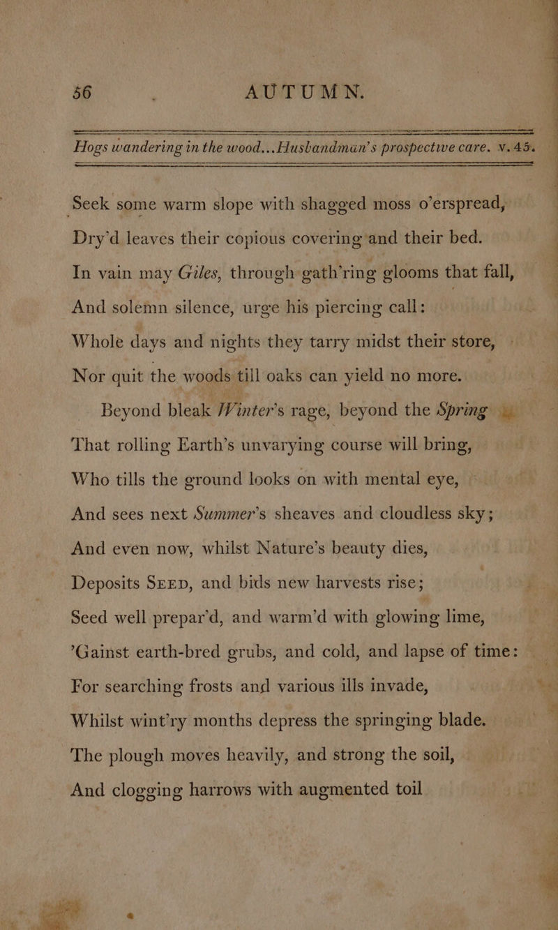 rman anise oe aa aes _  : % Hogs wandering in the wood... Husbandman’s prospective care. v.45. Seek some warm slope with shagged moss o’erspread, Dry’d leaves their copious covering and their bed. In vain may Giles, through gath’ring glooms that fall, And solemn silence, urge his piercing call: | Whole days and nights they tarry midst their store, - Nor quit the woods till oaks can yield no more. | - Beyond bleak Winter's rage, beyond the Spring ) | That rolling Earth’s unvarying course will bring, Who tills the ground looks on with mental eye, — And sees next Swmmer’s sheaves and cloudless sky; And even now, whilst Nature’s beauty dies, Deposits SEEp, and bids new harvests rise; Seed well prepar’d, and warm’d with glowing lime, ’Gainst earth-bred grubs, and cold, and lapse of time: | For searching frosts and various ills invade, ee “ Whilst wint’ry months depress the springing blade. The plough moves heavily, and strong the soil, And clogging harrows with augmented toil