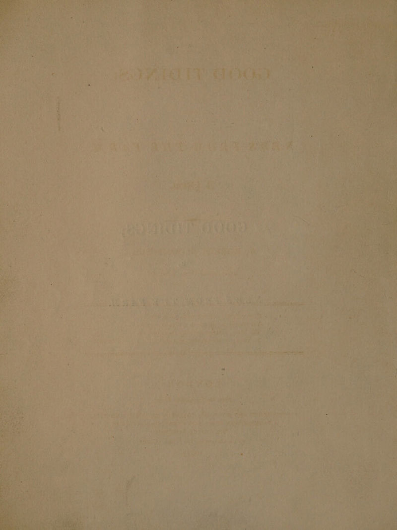 Mie id @olet Pan} j aaty 5 i Sa ae Paaa ed Me hats 6 ee ie