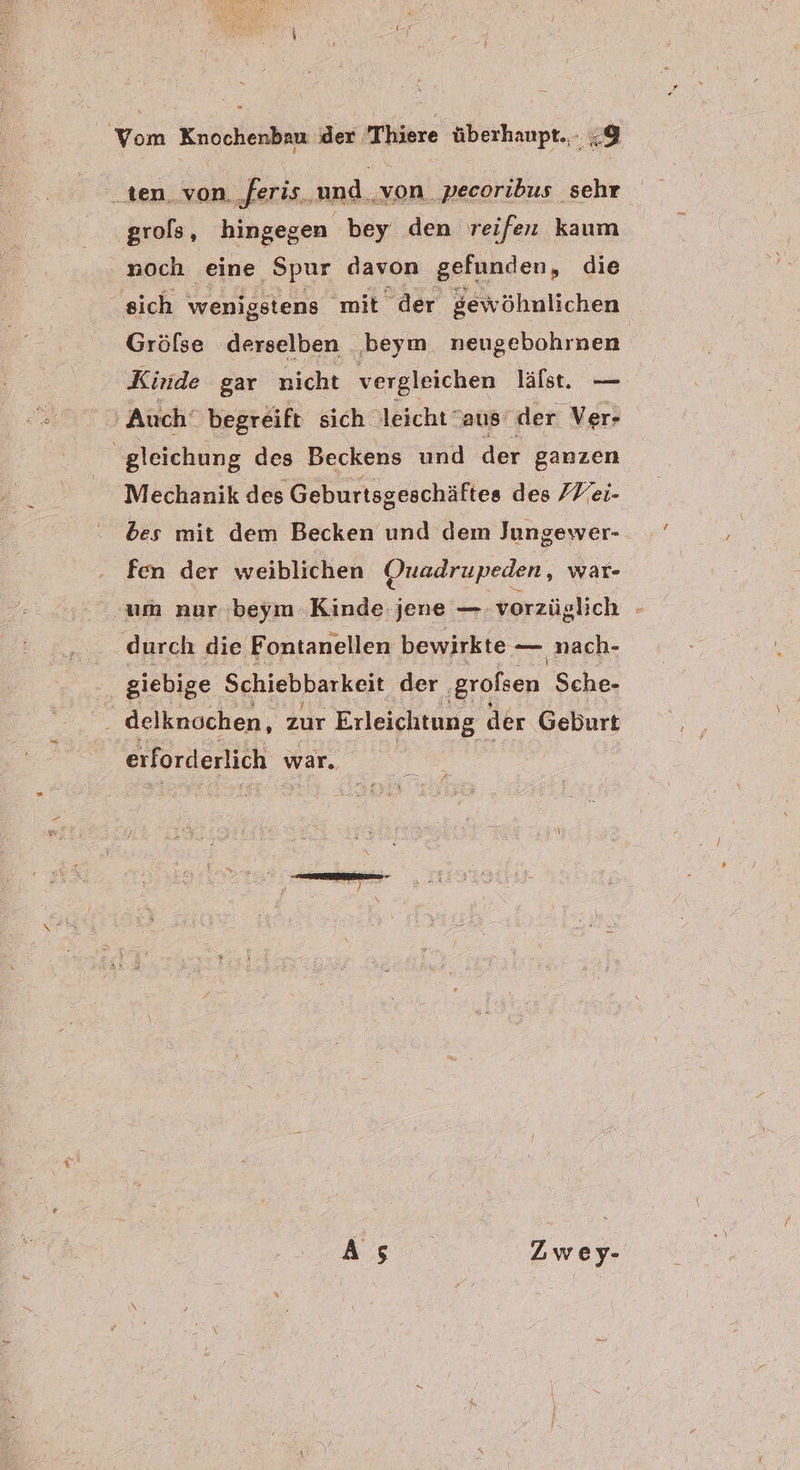 ten von. feris und ‚von pecoribus sehr grols, hingegen bey den reifen kaum noch eine ‚Spur davon gefunden, die sich wenigstens ‚mit der gewöhnlichen Grölse derselben beym neugebohrnen Kinde gar nicht vergleichen läfst., — Auch‘ begreift sich leicht aus der Ver- ‚gleichung des Beckens und der ganzen Mechanik des Geburtsgeschäftes des /Vei- bes mit dem Becken und dem Jungewer- fen der weiblichen Onuadrupeden, war- um nur beym Kinde jene — vorzüglich durch die Fontanellen bewirkte — nach- giebige Schiebbarkeit der. ‚grofsen Sche- a delknochen, zur Erleichtung der Geburt erforderlich war. As. Zwey-