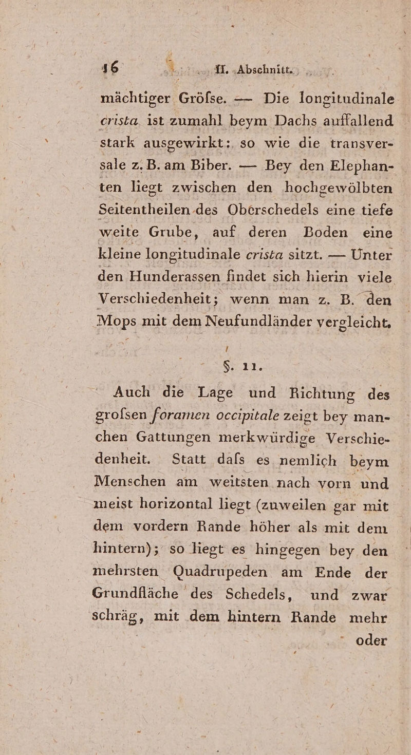 46 ‚A ur IE „Abschnitt. ; mächtiger Gröfse. — Die longitudinale crısta. ist zumahl beym Dachs auffallend stark ausgewirkt:, so wie die transver- sale z.B. am Biber. — Bey den Elephan- ten liegt zwischen den hochgewölbten Seitentheilen des | Oberschedels eine tiefe weite Grube, auf deren Boden eine kleine longitudinale crista sitzt. — Unter den Hunderassen findet sich hierin viele Verschiedenheit; wenn man z. B. den Mops mit dem Nerfuindlinder vergleicht, r I LT, Auch die Lage und Richtung des grolsen foramen occipitale zeigt bey man- chen Gattungen merkwürdige Verschie- denheit. Statt dals es nemlich beym Menschen am weitsten nach vorn und meist horizontal liegt (zuweilen gar mit dem vordern Rande höher als mit dem hintern); so liegt es hingegen bey den mehrsten Quadrupeden am Ende der Grundfläche des Schedels, und zwar ee mit dem hintern Rande mehr “ oder