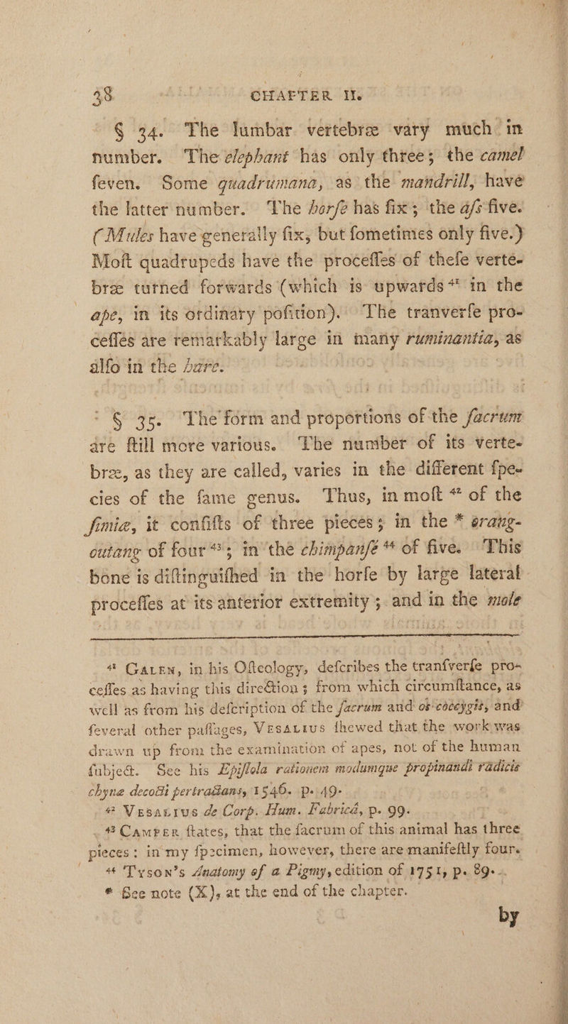 § 34. The lumbar vertebrae vary much. in number. The elephant has only three; the camel feven. Some guadrumana, as the mandrill, have the latter number. ‘The horfe has fix; the a/s five. (Mules have generally fix, but fometimes only five.) Moft quadrupeds have the procefles of thefe verte- bree tuthed forwards (which is upwards * in the ape, in its ordinary pofition). The tranverfe pro- ceffés are remarkably ah in begins RUE as alfo in the dare. § 35. The'form and proportions of the facrum dre ftill more various. The number of its verte- bree, as they are called, varies in the different fpe- cies of the fame genus. Thus, in molt * of the fimia, it confifts of three pieces; in the * erang- proceffes at its anterior extremity ; and in the mole # Garen, in his Oftcology, defcribes the eaters pro- cefles as having this direGtion ; from which circumiftance, as feveral other paflages, VEsaLius ihewed that the work was drawn up from the examination of apes, not of the human fubjed. See his Epiflola rationem modumgue propinandi radicie chyna decodi pertraäians, 1546. P-'49- | # Vesarıus.de Corp. Hum. Fabrica, p. 99. # Camper fates, that the facrum of this animal lias (Hite pieces: in my fpzcimen, however, there are manifeltly four. + Tyson’s Anatomy of a Pigmy, edition of 1751, Po 89... ® See note (X), at the end of the chapter. by