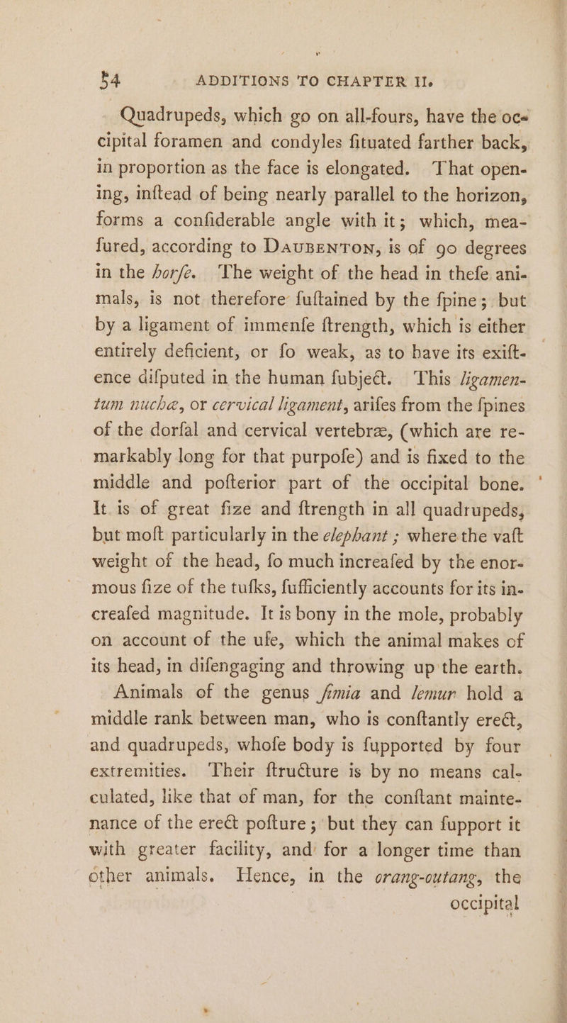 Quadrupeds, which go on all-fours, have the oc« cipital foramen and condyles fituated farther back, in proportion as the face is elongated. That open- ing, inftead of being nearly parallel to the horizon, forms a confiderable angle with it; which, mea- fured, according to DauBENTON, is of go degrees in the borfe. The weight of the head in thefe ani- mals, is not therefore fuftained by the fpine; but by a ligament of immenfe ftrength, which is either entirely deficient, or fo weak, as to have its exift- ence difputed in the human fubjeét. This digamen- tum nuche, or cervical ligament, arifes from the {pines of the dorfal and cervical vertebr&amp;, (which are re- markably long for that purpofe) and is fixed to the middle and pofterior part of the occipital bone. ' It is of great fize and ftrength in all quadrupeds, but molt particularly in the elephant ; where the vaft weight of the head, fo much increafed by the enor- mous fize of the tufks, fufficiently accounts for its in- creafed magnitude. It is bony in the mole, probably on account of the ufe, which the animal makes of its head, in difengaging and throwing up the earth. Animals of the genus mia and /emur hold a middle rank between man, who is conftantly erect, and quadrupeds, whofe body is fupported by four extremities. ‘Their ftructure is by no means cal- culated, like that of man, for the conftant mainte- nance of the erect pofture ; but they can fupport it with greater facility, and’ for a longer time than other animals. Hence, in the orang-outang, the ‚bagiben he occipital