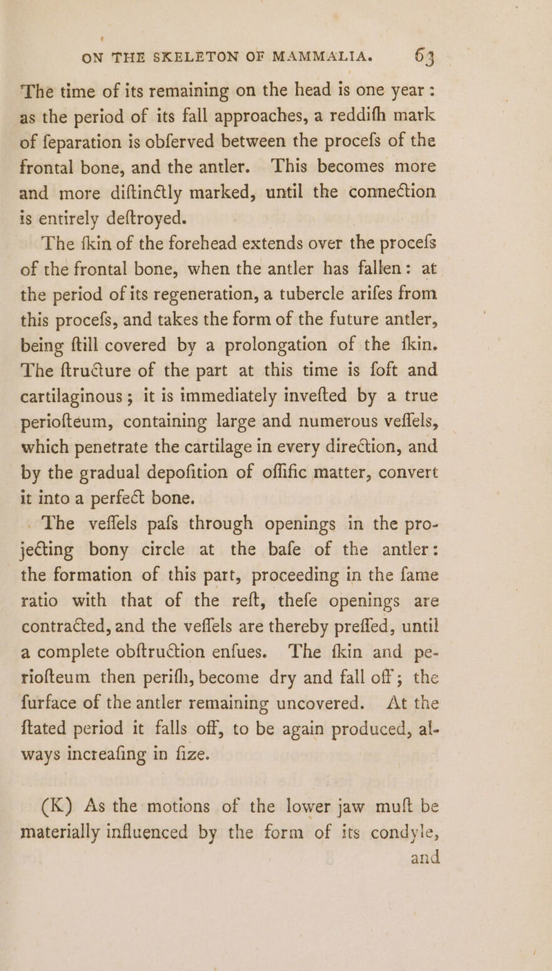 The time of its remaining on the head is one year: as the period of its fall approaches, a reddifh mark of feparation is obferved between the procefs of the frontal bone, and the antler. This becomes more and more diftinétly marked, until the connection is entirely deftroyed. The fkin of the forehead extends over the procefs of the frontal bone, when the antler has fallen: at the period of its regeneration, a tubercle arifes from this procefs, and takes the form of the future antler, being ftill covered by a prolongation of the fkin. The ftructure of the part at this time is foft and cartilaginous ; it is immediately invefted by a true periofteum, containing large and numerous veflels, which penetrate the cartilage in every direction, and by the gradual depofition of offific matter, convert it into a perfect bone. The veflels pafs through openings in the pro- jecting bony circle at the bafe of the antler: the formation of this part, proceeding in the fame ratio with that of the reft, thefe openings are contracted, and the veflels are thereby preffed, until a complete obftruction enfues. The fkin and pe- riofteum then perifh, become dry and fall off; the furface of the antler remaining uncovered. At the {tated period it falls off, to be again produced, al- ways increafing in fize. (K) As the motions of the lower jaw muft be materially influenced by the form of its condyle, and