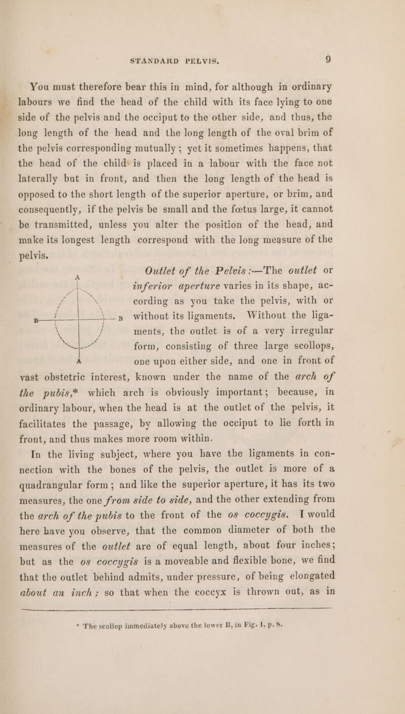 Ly You must therefore bear this in mind, for although in ordinary labours we find the head of the child with its face lying to one side of the pelvis and the occiput to the other side, and thus, the long length of the head and the long length of the oval brim of the pelvis corresponding mutually ; yet it sometimes happens, that the head of the child’ is placed in a labour with the face not laterally but in front, and then the long length of the head is opposed to the short length of the superior aperture, or brim, and consequently, if the pelvis be small and the fcetus large, it cannot be transmitted, unless you alter the position of the head, and make its longest length correspond with the long measure of the pelvis. Outlet of the Pelvis :—The outlet or inferior aperture varies in its shape, ac- cording as you take the pelvis, with or without its ligaments. Without the liga- ments, the outlet is of a very irregular form, consisting of three large scollops, one upon either side, and one in front of the pubis,* which arch is obviously important; because, in ordinary labour, when the head is at the outlet of the pelvis, it facilitates the passage, by allowing the occiput to lie forth in front, and thus makes more room within. In the living subject, where you have the ligaments in con- nection with the bones of the pelvis, the outlet is more of a quadrangular form; and like the superior aperture, it has its two measures, the one from side to side, and the other extending from the arch of the pubis to the front of the os coccygis. I would here have you observe, that the common diameter of both the measures of the outlet are of equal length, about four inches; but as the os coccygis is a moveable and flexible bone, we find that the outlet behind admits, under pressure, of being elongated about an inch; so that when the coccyx is thrown out, as in Sac na a cc rennin ns ei fi ~a S TAT IIACCTAEAD AAGLO TOLL AOAC ALOE DALE AE a * The scollop immediately above the lower B, in Fig. 1, p. 8.