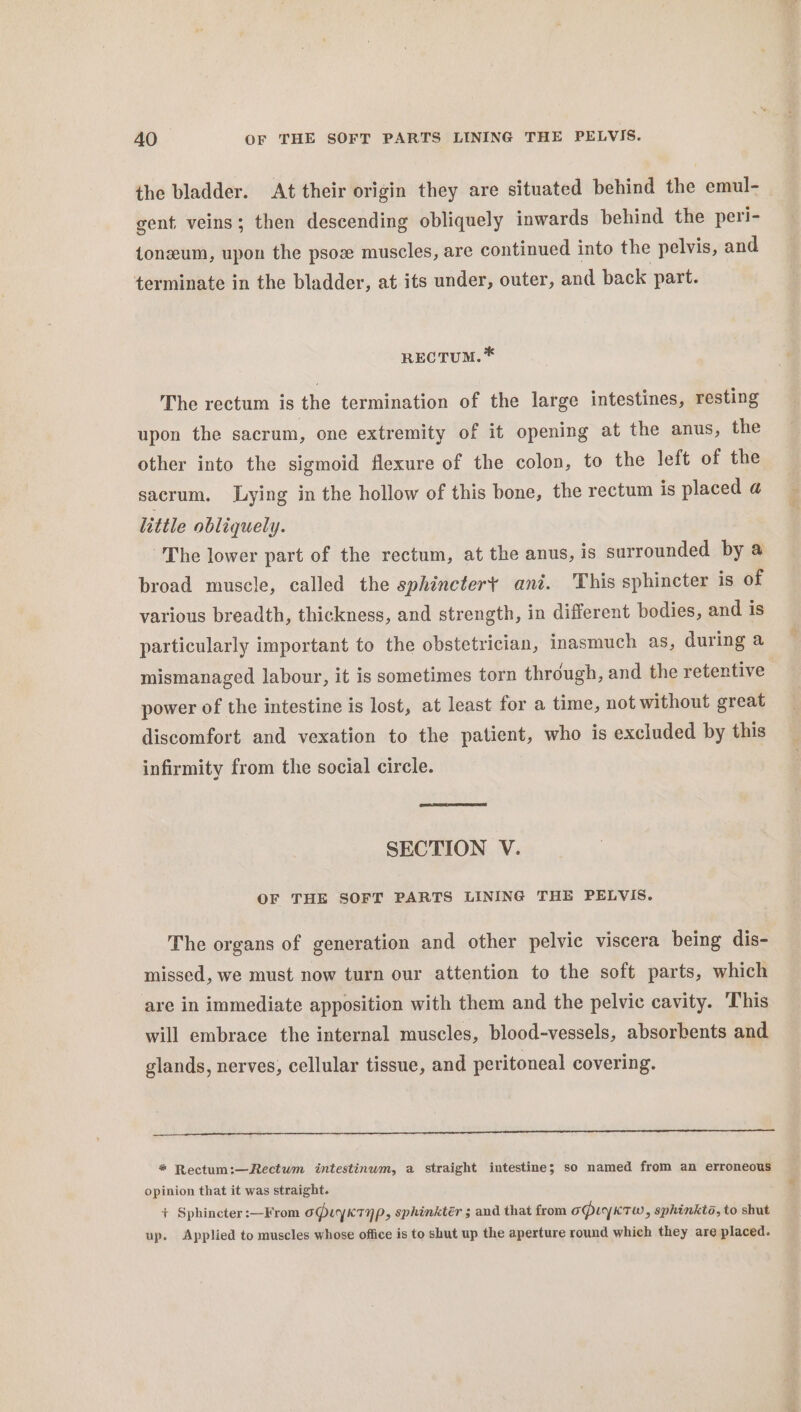 the bladder. At their origin they are situated behind the emul- gent, veins; then descending obliquely inwards behind the peri- tonzeum, upon the psoz muscles, are continued into the pelvis, and terminate in the bladder, at its under, outer, and back part. RECTUM. * The rectum is the termination of the large intestines, resting upon the sacrum, one extremity of it opening at the anus, the other into the sigmoid flexure of the colon, to the left of the sacrum. Lying in the hollow of this bone, the rectum is placed a little obliquely. ~The lower part of the rectum, at the anus, is surrounded by a broad muscle, called the sphinctert ani. This sphincter is of various breadth, thickness, and strength, in different bodies, and is particularly important to the obstetrician, inasmuch as, during a mismanaged labour, it is sometimes torn through, and the retentive | power of the intestine is lost, at least for a time, not without great discomfort and vexation to the patient, who is excluded by this infirmity from the social circle. SECTION V. OF THE SOFT PARTS LINING THE PELVIS. The organs of generation and other pelvic viscera being dis- missed, we must now turn our attention to the soft parts, which are in immediate apposition with them and the pelvic cavity. This will embrace the internal muscles, blood-vessels, absorbents and glands, nerves, cellular tissue, and peritoneal covering. * Rectum:—Rectwm intestinum, a straight intestine; so named from an erroneous opinion that it was straight. b + Sphincter :—From opuyk7np, sphinktér ; and that from opiyKTw » sphinkto, to shut up. Applied to muscles whose office is to shut up the aperture round which they are placed.