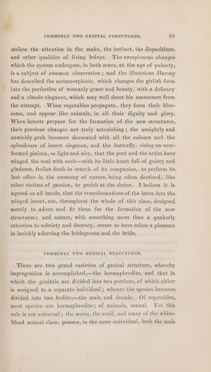 strikes the attention in the make, the instinct, the dispositions, and other qualities of living beings. The conspicuous changes which the system undergoes, in both sexes, at the age of puberty, is a subject of common observation ; and the illustrious Harvey has described the metamorpbosis, which changes the girlish form into the perfection of womanly grace and beauty, with a delicacy and a classic elegance, which may well deter his successors from the attempt. When vegetables propagate, they form their blos- soms, and appear like animals, in all their dignity and glory. When insects prepare for the formation of the new structures, their previous changes are truly astonishing ; the unsightly and unwieldy grub becomes decorated with all the colours and the splendours of insect elegance, and the butterfly, rising on new- formed pinions, so light and airy, that the poet and the artist have winged the soul with such—with its little heart full of gaiety and gladness, frolics forth in search of its companion, to perform its last office in the economy of nature, being often destined, like other victims of passion, to perish at the shrine. I believe it is agreed on al] hands, that the transformations of the larva into the winged insect, are, throughout the whole of this class, designed merely to adorn and fit them for the formation of the new structures; and nature, with something more than a quakerly attention to sobriety and decency, seems to have taken a pleasure in lavishly adorning the bridegroom and the bride. COMMONLY TWO GENITAL STRUCTURES. There are two grand varieties of genital structure, whereby impregnation is accomplished,—the hermaphrodite, and that in which the genitals are divided into two portions, of which either is assigned to a separate individual; whence the species becomes divided into two bodies,—the male and female. Of vegetables, most species are hermaphrodite; of animals, sexual. Yet this rule is not universal; the worm, the snail, and many of the white- blood animal class, possess, in the same individual, both the male