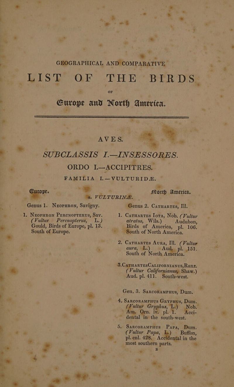 * OF * Gyre. ii Genus 1. Neropuron, Savigny. (Vultur Percnopterus, UL.) Gould, Birds of Europe, pl. 13. South of Europe. im North America. Genus 2. Catuartes, IIl. atratus, Wils.) Audubon, Birds of America, pl. 106. ‘South of North America. aura, IL.) Aud, pl. 151, South of North America. 3.CaTHARTESCALIFORNIANUS, Ranz. . (Vultur Californianus, Shaw.) Aud. pl. 411. South-west. ¥ * &gt; Gen, 3. Sarcorampuus, Dum. 4, Sancorampuus Grrypuus, Dum. | (Vultur Gryphus, lL.) Nob. * Am. Orn. iv. pl. 1. Acci- ~ dental in the south-west. * 5. Sarcorampuus Papa, Dum. , (Vultur Papa, Ll.) — Buffon, ’ pl.enl. 428. Accidental in the *. : * most southern parts. — = rn # + | - - 4” : &gt; : f , * . * ? * *. —_—. 8