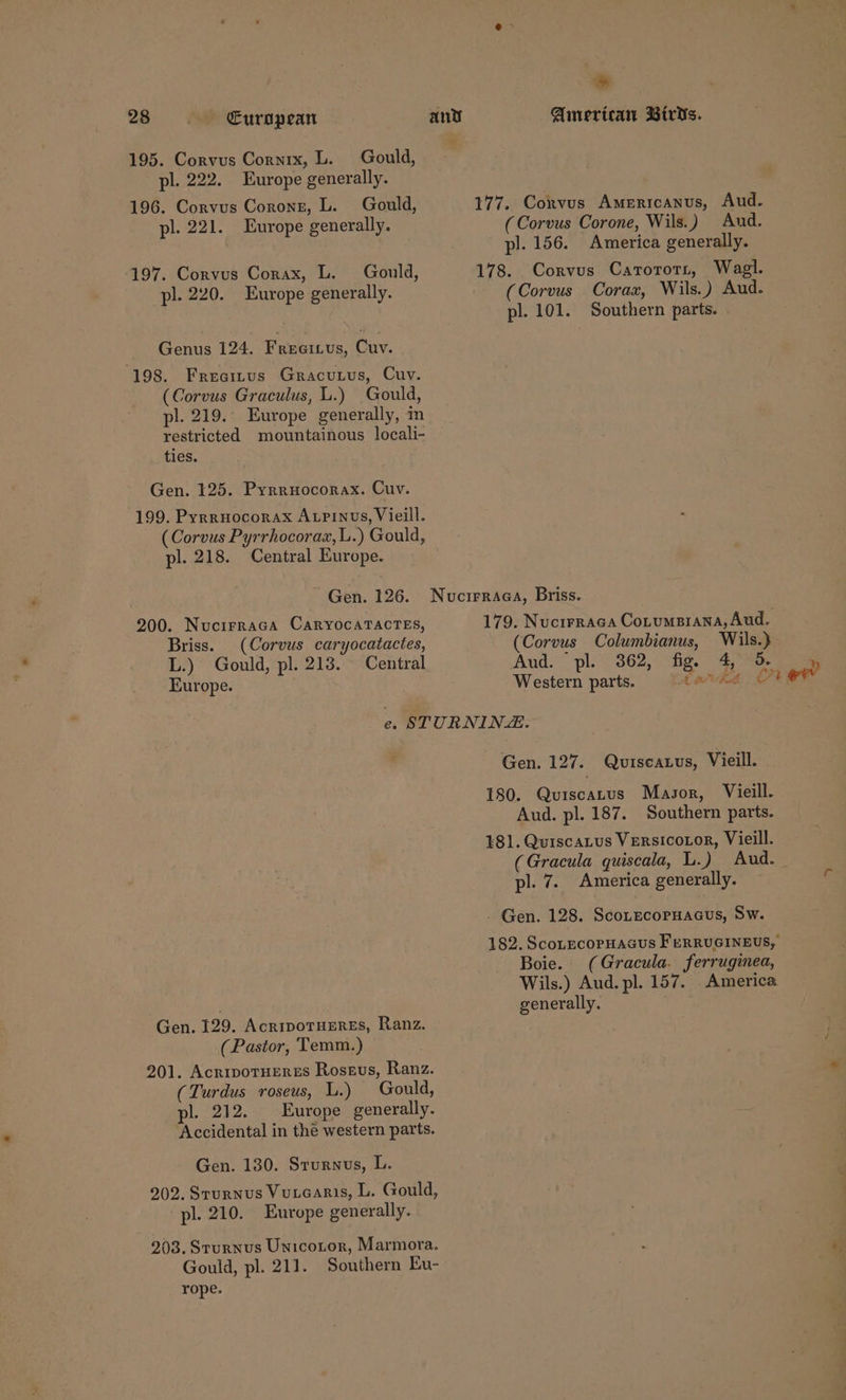 -* 28 - European ant American Birds. 195. Corvus Cornrx, L. Gould, pl. 222. Europe generally. 196. Corvus Coronr, L. Gould, 177. Corvus Amerrcanus, Aud. pl. 221. Europe generally. (Corvus Corone, Wils.) Aud. pl. 156. America generally. 197. Corvus Corax, L. Gould, 178. Corvus Carorort, Wagl. pl. 220. Europe generally. (Corvus Corax, Wils.) Aud. pl. 101. Southern parts. Genus 124. Freeitus, Cuv. 198. Freemus Gracutus, Cuv. (Corvus Graculus, L.) Gould, pl. 219. Europe generally, in restricted mountainous locali- ties. Gen. 125. Pyrruocorax. Cuv. 199. Pyrruocorax ALPiNnus, Vieill. (Corvus Pyrrhocorax,L.) Gould, pl. 218. Central Europe. ~ Gen. 126. Nucirraea, Briss. 200. Nucirraca CaRyYocATACTES, 179. Nucrrraca Cotumsrana, Aud. Briss. (Corvus caryocatactes, (Corvus Columbianus, Wils.} L.) Gould, pl. 213. Central Aud. pl. 362, fig. 4, 5. Europe. Western parts. tks 7A e. STURNINE. Gen. 127. Qurseatus, Vieill. 180. Qurscatus Masor, Vieill. Aud. pl. 187. Southern parts. 181. Quiscatus VErsicozor, Vieill. pl. 7. America generally. Gen. 128. SconecorHacus, Sw. 182. ScoLecopHacus FuRRUGINEUS, Boie. (Gracula. ferruginea, Wils.) Aud. pl. 157. America . generally. Gen. 129. AcripoTHEREs, Ranz. (Pastor, Temm.) 201. AcrivotuErss Rosgvs, Ranz. (Turdus roseus, L.) Gould, pl. 212. Europe generally. Accidental in the western parts. Gen. 130. Srurnvus, L. 202. Srurnus Vutearis, L. Gould, pl. 210. Europe generally. 203. Srurnus Unicotor, Marmora. Gould, pl. 211. Southern Eu- rope.
