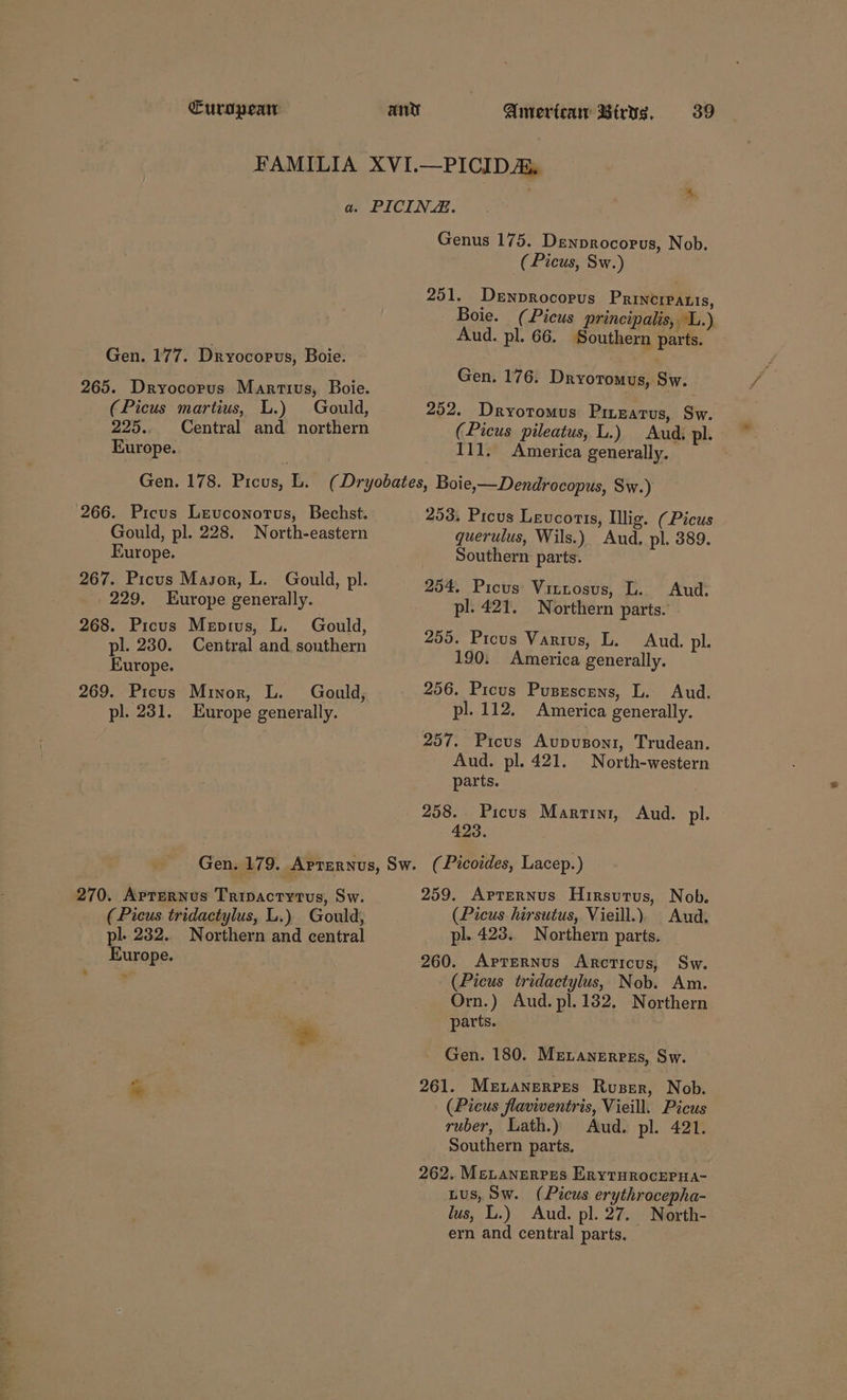 Gen. 177. Dryocorus, Boie. 265. Dryocorus Martius, Boie. (Picus martius, L.) Gould, 225.. Central and northern Europe. Genus 175. Denprocorus, Nob. (Picus, Sw.) 251. Denprocopus Princreatis, Boie. (Picus principalis, “L.) Aud. pl. 66. Southern parts. Gen. 176. Dryotomus, Sw. 252. Dryotomus Pirzatus, Sw. (Picus pileatus, L.) Aud, pl. 111. America generally. 266. Picus Leuconorus, Bechst. Gould, pl. 228. North-eastern Europe. 267. Picus Masor, L. Gould, pl. 229. Europe generally. 268. Picus Mepius, L. Gould, pl. 230. Central and. southern Europe. 269. Picus Minor, L. Gould, pl. 231. Europe generally. 253, Prous Leucoris, Illig. (Picus querulus, Wils.) Aud, pl. 389. Southern parts. 254. Picus Vitrosus, L. Aud. pl. 421. Northern parts. 255. Picus Varius, L. Aud. pl. 190. America generally. 256. Picus Pusescens, L. Aud. pl. 112. America generally. 257. Picus Aupuzont, Trudean. Aud. pl. 421. North-western parts. 258. Picus Martini, Aud. pl. 423. 270. Aprernus Tripactytvs, Sw. (Picus tridactylus, L.) Gould, pl. 232. Northern and central Europe. rat 259. Apternus Hirsutus, Nob. (Picus hirsutus, Vieill.). Aud, pl. 428. Northern parts. 260. ApreRNus Arcticus, Sw. (Picus tridactylus, Nob. Am. Orn.) Aud. pl.132. Northern parts. Gen. 180. Mrtanerrgs, Sw. 261. Mexanerres Ruser, Nob. (Picus flaviventris, Vieill. Picus ruber, Lath.) Aud. pl. 421. Southern parts. 262.. MeLanerpes EryturocEePua- Lus, Sw. (Picus erythrocepha- lus, L.) Aud. pl. 27. North- ern and central parts.