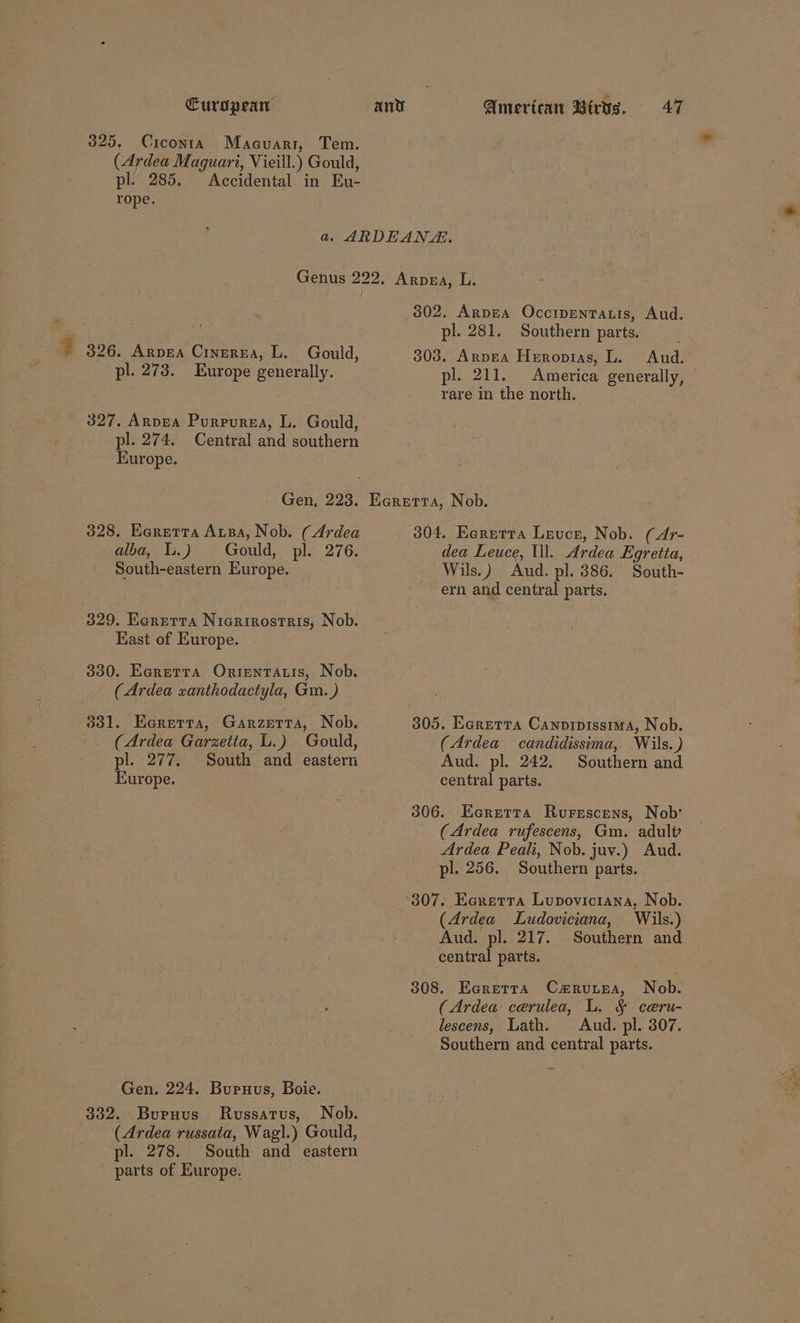 > 325. Ciconta Macuarr, Tem. (Ardea Maguari, Vieill.) Gould, pl. 285. Accidental in Eu- rope. pl. 278. Europe generally. 327. Arvea Purpursea, L. Gould, pl. 274. Central and southern Europe. 302, ArpEA OccripEnTauis, Aud. pl. 281. Southern parts. 303. Arpea Heropias, L. Aud. pl. 211. America generally, rare in the north. 328. Earetta Ausa, Nob. (Ardea alba, Iu.) Gould, pl. 276. South-eastern Europe. 329. Ecrettra Nierirostris, Nob. East of Europe. 330. Ecretta Ortentatis, Nob. (Ardea xanthodactyla, Gm.) 331. Earerta, Garzetta, Nob. (Ardea Garzetta, L.) Gould, pl. 277. South and eastern Europe. Gen. 224. Buruus, Boie. 332. Burnus Russatus, Nob. (Ardea russata, Wagl.) Gould, pl. 278. South and eastern parts of Europe. 304. Eererra Leuce, Nob. (4r- dea Leuce, Ill. Ardea Egretta, Wils.) Aud. pl. 386. South- ern and central parts. 305. Ecretra Canpipisstua, Nob. (Ardea candidissima, Wils.) Aud. pl. 242. Southern and central parts. 306. Ecretta Rurescens, Nob: (Ardea rufescens, Gm. adult? Ardea Peali, Nob. juv.) Aud. pl. 256. Southern parts. 307. Eoretra Lupovicitana, Nob. (Ardea Ludoviciana, Wils.) Aud. pl. 217. Southern and central parts. 308. Ecretta Carutea, Nob. (Ardea: cerulea, L. § ca@ru- lescens, Lath. Aud. pl. 307. Southern and central parts.
