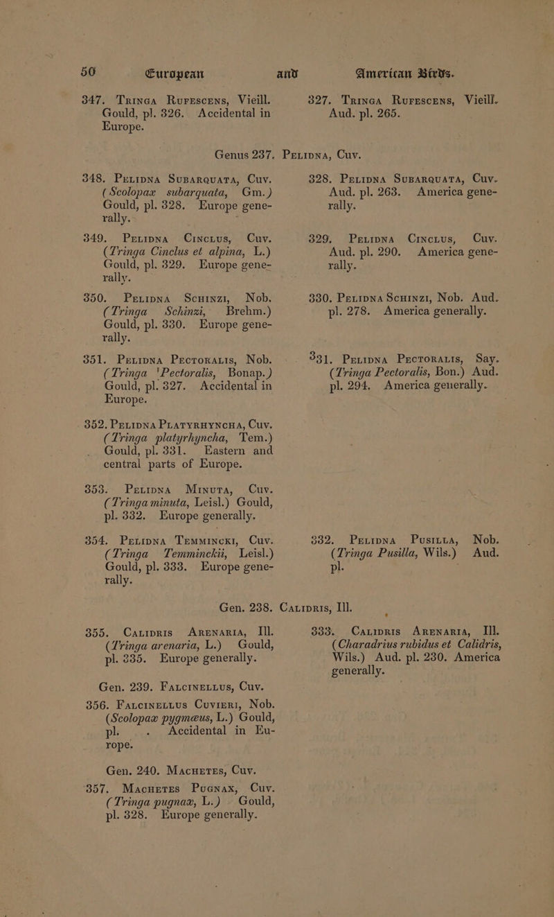 347. Trinca Rurescens, Vieill. Gould, pl. 326. Accidental in Europe. 348. Prtipna Suparauata, Cuy. (Scolopax subarquata, Gm.) Gould, pl. 328. Europe gene- rally. . 349. Prexuipwa Cincius, Cuv. (Tringa Cinclus et alpina, L.) Gould, pl. 329. Europe gene- rally. 350. Prxipna Scuinzi, Nob. (Tringa Schinzi, Brehm.) Gould, pl. 330. Europe gene- rally. 351. Prtipwa Pecroratis, Nob. (Tringa 'Pectoralis, Bonap.) Gould, pl. 827. Accidental in Europe. 362. Petipna PLatyruyncaa, Cuv. (Tringa platyrhyncha, Tem.) Gould, pl. 831. Eastern and central parts of Europe. 353. Pretrpona Minuta, Cuv. (Tringa minuta, Leisl.) Gould, pl. 332. Europe generally. 354. Prenipna Tremmincxi, Cuv. (Tringa Temminckii, Leisl.) Gould, pl. 333. Europe gene- rally. Gen. 238. 355. CaALIpRIs ARENARIA, Til. (Tringa arenaria, L.) Gould, pl. 235. Europe generally. Gen. 239. Fauctne.uus, Cuv. 356. Faucinettus Cuvieri, Nob. aa pygmaeus, L.) Gould, pl. . Accidental in Eu- rope. Gen. 240. Macuetes, Cuv. 357. Macnetes Pucnax, Cuv. (Tringa pugnax, L.) - Gould, pl. 328. Europe BeREtANY- 327. Trinca Rurescens, Vieill. Aud. pl. 265. 328. Peripna Suparquata, Cuv. Aud. pl. 263. America gene- rally. 329. Peuipna Crincius, Cuv. Aud. pl. 290. America gene- rally. pl. 278. America generally. 331. Peuipna Pucrorauis, Say. (Tringa Pectoralis, Bon.) Aud. pl. 294. America generally. 382. Prexripna Pusitta, Nob. (Tringa Pusilla, Wils.) Aud. pl. 333. Cauipris Arenaria, Ill. (Charadrius rubidus et Calidris, Wils.) Aud. pl. 230. America generally.