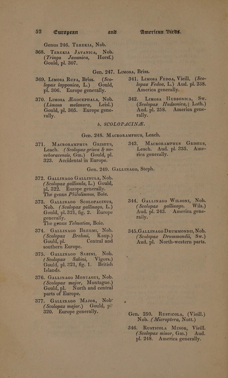 Genus 246. Terexia, Nob. 368. TererexiA Javanica, Nob. (Tringa Javanica, Horsf.) Gould, pl. 307. Gen. 247. Liwosa, Briss. 369. Limosa Ruea, Briss. (Sco- 841. Limosa Fepoa, Vieill, (Sco- lopax lapponica, L.) Gould, lopax Fedoa, L.) Aud. pl. 238. pl. 306. Europe generally. 370. Limosa /EcocerHata, Nob. (Limosa melanura, Leisl.) Gould, pl. 305. Europe gene- rally. America generally. 342. Limosa Hupsonica, Sw. (Scolopax Hudsonica,i Lath.) Aud. pl. 258. America gene- rally. 371. Macrorampuus GrRiIsEus, Leach. (Scolopax grisea &amp; no- veboracensis, Gm.) Gould, pl. 323. Accidental in Europe. 343. Macrorampuus GRrIsEUus, Leach. Aud. pl. 335. Aime- rica generally. ~ 372, Gaturnaco Gatiinuta, Nob. (Scolopax gallinula, L.) Gould, pl. 322. Europe generally. The genus Philolimnos, Boie. 373. Gawtuinaco ScoLopaciNnus, Nob. (Scolopax gallinago, L.) Gould, pl. 321, fig. 2. Europe generally. The genus Telmatias, Boie. 374. Gautinaco Breumi, Nob. (Scolopax Brehmi, Kaup.) Gould, pl. Central and southern Europe. 375. Gatuinaco Sasint, Nob. (Scolopax Sabini, Vigors.) Gould, pl. 321, fig. 1. British Islands. 376. Gatuinaco Monracut, Nob. (Scolopax major, Montague.) Gould, pl. North and central parts of Europe. 377. Gatirnaco Masor, Nob (Scolopaxz major.) Gould, pt 320. Europe generally. 344, Gatztinaco Witsont, . Nob. (Scolopaz gallinago. Wils.) Aud. pl. 243. America gene- rally. 345,.GaLLtInaco Drummonpitl, Nob. (Scolopaz Drummondii, Sw.) Aud. pl. North-western parts. Gen. 250. Ruvusticoza, (Vieill.) Nob. (Microptera, Nutt.) 346. Rusticora Mrwnor, Vieill. (Scolopax minor, Gm.) Aud. pl. 248. America generally.