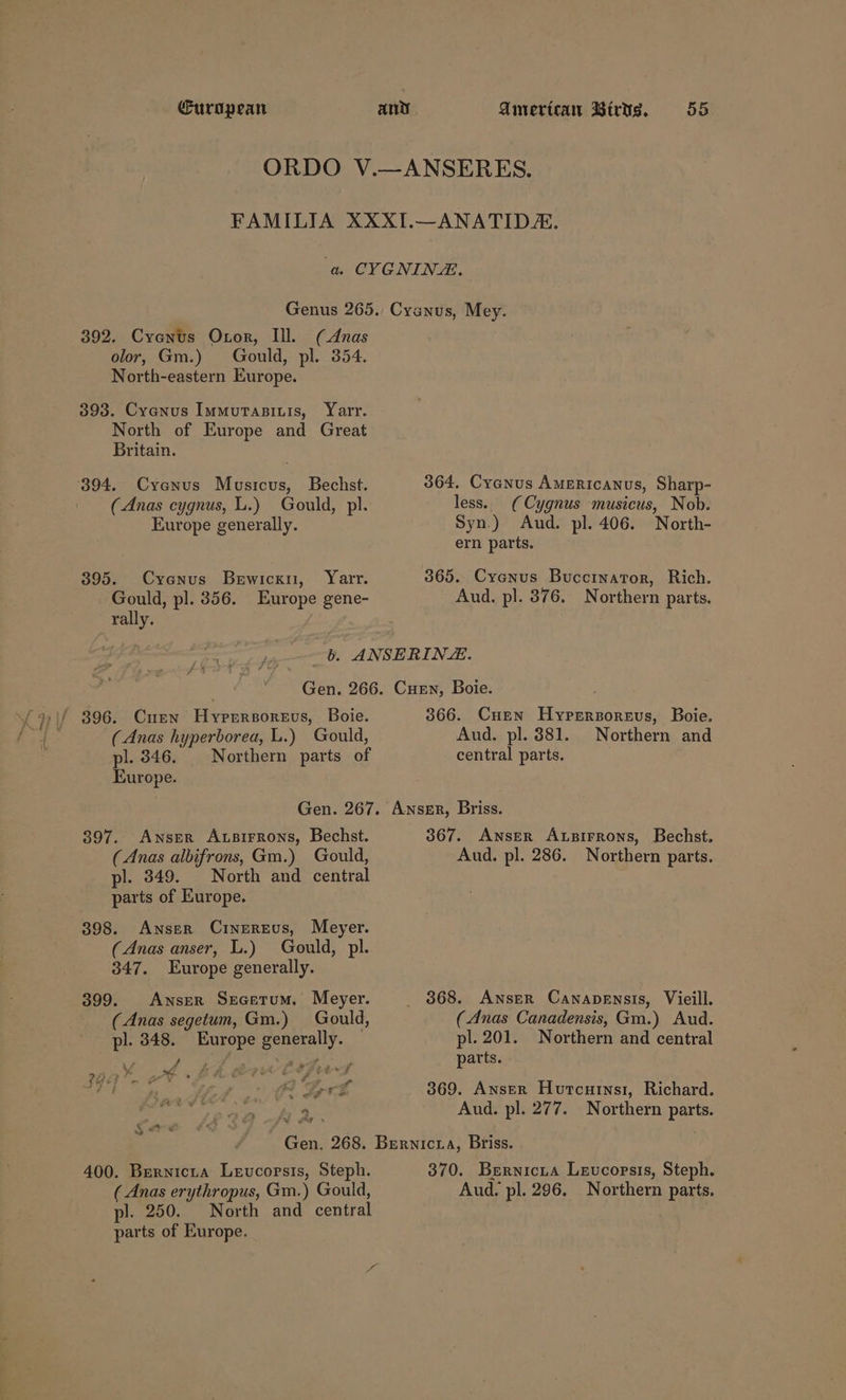 ORDO V.—ANSERES. FAMILIA XXXI.—ANATIDZ., a CYGNIN EE. Genus 265. Cranus, Mey. 392. Cyenus Otor, Ill. (Anas olor, Gm.) Gould, pl. 354. North-eastern Europe. 393. Cyonus Immutasiuis, Yarr. North of Europe and Great Britain. ‘394. Cyenus Musicus, Bechst. 364, Cyanus Americanus, Sharp- (Anas cygnus, L.) Gould, pl. less. (Cygnus musicus, Nob. Europe generally. Syn.) Aud. pl. 406. North- ern parts. 395. Cyenus Bewicxu, Yarr. 365. Cyenus Buccinator, Rich. Gould, pl. 356. Europe gene- Aud. pl. 376. Northern parts. rally. cme bo. ANSERINE. Gen. 266. Cuen, Boie. f 396. Cuen Hyrrrsorsvs, Boie. 366. CHuEen Hyprrzoreus, Boie. (Anas hyperborea, L.) Gould, Aud. pl. 381. Northern and pl. 346. Northern parts of central parts. Europe. Gen. 267. Awnssr, Briss. 397. AnserR Atsirrons, Bechst. 367. AwnserR Atsirrons, Bechst. (Anas albifrons, Gm.) Gould, Aud. pl. 286. Northern parts. pl. 349. North and central parts of Europe. 398. Awnser Cinereus, Meyer. (Anas anser, L.) Gould, pl. 347. Europe generally. 399. Awnser Secetum, Meyer. _ 868. Anser Cawnapensis, Vieill. (Anas segetum, Gm.) Gould, (Anas Canadensis, Gm.) Aud. pl. 348. Europe generally. pl. 201. Northern and central ae Pare go dee ae parts. ag a to eh a4 Erk 369. Anser Hurcurnsi, Richard. ed Aud. pl. 277. Northern parts. Gen. 268. Brrnicra, Briss. 400. Brernicia Leucorsis, Steph. 370. Berniciua Leucopsis, Steph. ( Anas erythropus, Gm.) Gould, Aud. pl. 296. Northern parts. pl. 250. North and central parts of Europe. t § “re