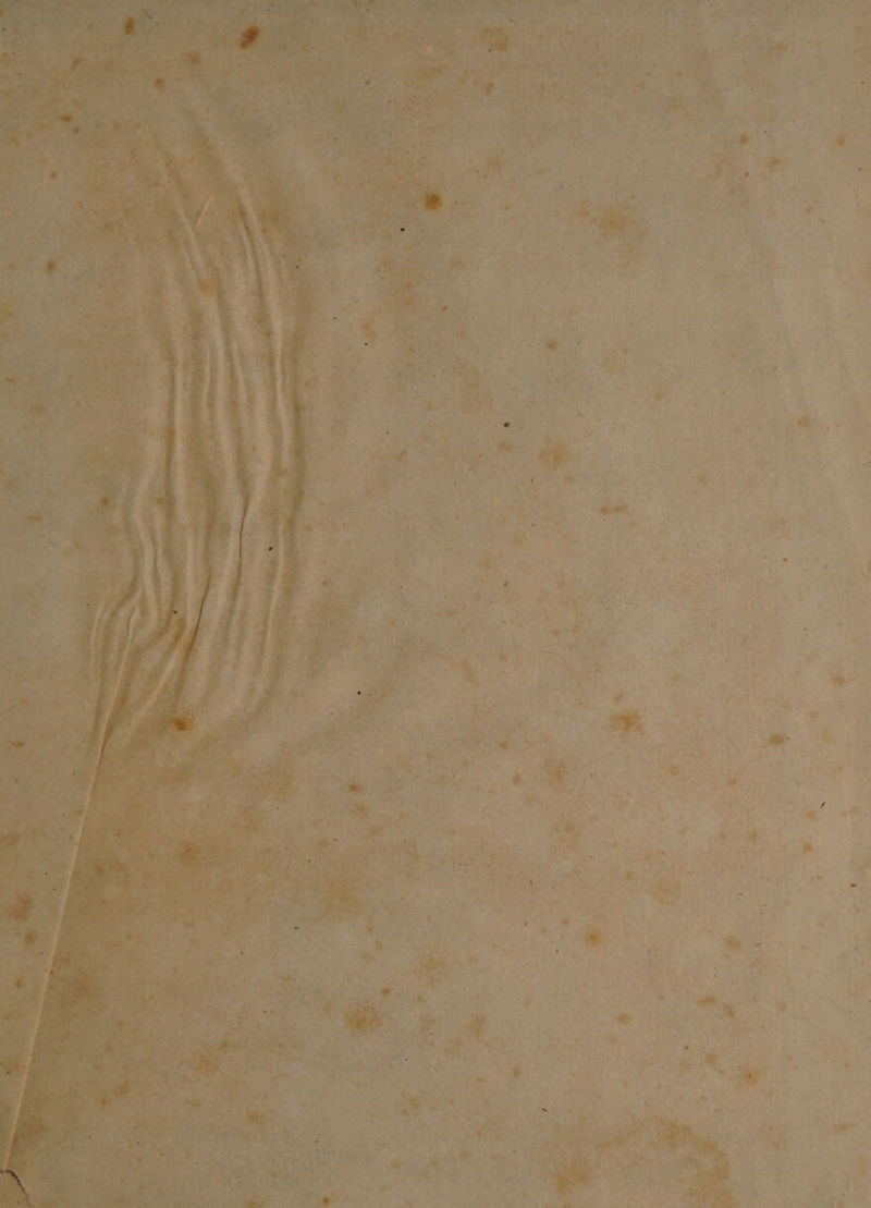 * 951 1 Pie) | * . £ i; x