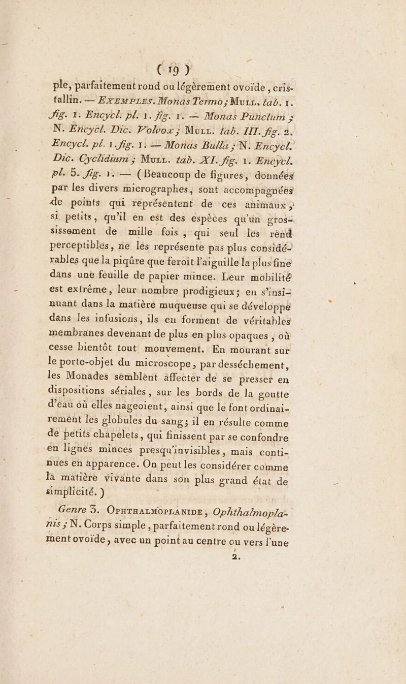 ple, parfaitement rond ou lésèrement ovoïde , cris- tallin. — ExsmpPzes. MonasTermo;Murz, ab. 1. Sig. 1: Encycl: pl: 1. fie. 1. — Monas Punctum ; N. Eñcyel. Dic. Volvox ; Morz. tab. III. fig. 2. Encycl. pl. 1 fig. 1: = Monas Bulle ; N. Encycl. Dic. Cyclidium ; Mvrz. tab. XI. fig. 1. Encycl. pl. 5. fig. 1: — (Beaucoup de figures, données par les divers micrographes, sont accompagnées de points qui réprésèntent de ces animaux ÿ si petits, qu'il en est des espèces qu'un gros- sissement de mille fois, qui seul lés rend perceptiblés, ne les représente pas plus considé- rables que la piqûre que feroit l'aiguille la plus fine dans une feuille de papier mince. Leur mobilité est extrême , leur nombre prodigieux; en s’insi- nuant dans la matière muqueuse qui se développe dans les infusions, ils en forment de véritables membranes devenant de plus en plus opaques , où cesse bientôt tout mouvement. En mourant sur le porte-objet du microscope, par desséchement, les Monades semblent äffecter de se presser en dispositions sériales, sur les bords de la goutte d’eau où elles nageoient, ainsi que le font ordinai- rement les globules du sang; il en résulte comme de petits chapelets, qui finissent par se confondre en lignes minces presqu'invisibles, mais conti- nues en apparence. On peut les considérer comme la matière vivante dans son plus grand état de simplicité. ) É 1 Genre 3. OPnrnarmorLaniDE, Ophthalmopla- ns 3 N. Corps simple , parfaitement rond ou légère- ment ovoide, avec un point au centre ou vers l’une ‘ 2.