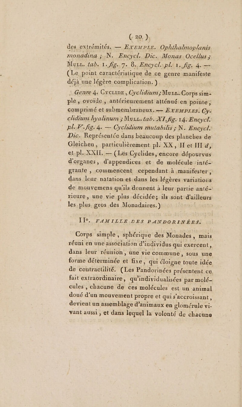 des extrémités. — EXEMPLE. Ophithalmoplanis monadina ; N. ÆEncycl. Dic. Monas Ocellus ; Mur. fab. a 7. 8. Encycl. pli 1. fig. 4. — (Le point caractéristique de ce genre manifeste déjà une légère. complication. ) Genre 4, Gyrcuine, Cyclidium;Murx. Corps sim- ple, ovoïde , antérieurement atténuéien pointe, comprimé et submembraneux.— Exewpres, Cy- chidium hyalinum ; Muzs.tab. XT, fig. 14. Encycl. pl. fig. 4. — Cyclidium mutabilis ; N. Encycl. Drc. Représentée dans beaucoup des planches de Gleichen, particulièrement pl. XX, IT et II &amp;, et.pl. XXII. — (Les Cyclides, encore dépourvus d'organes, d’appendices et de molécule :inté- grante , commencent cependant à manifester, dans leur natation.et dans les légères variatiois de mouvemens qu'ils donnent à leur parte anté— rieure, une vie plus décidée; ils sont d’ailleurs les plus, gros des Monadaires.) ÎIlo. FAMILLE DES PANDORINÉES. Corps simple , Sphérique des Monades, mais réuni en une association d'individus qui exercent, dans leur réunion, une vie commune, sous une forme déterminée et fixe, qui éloigne toute idée de contractilité. (Les ph présentent ce fait extraordinaire, qu'individualisées par molé- cules , chacuné de ces molécules est un animal doué d un mouvement propre et qui s’accroissant , - devient un assemblage d’animaux en glomérule vi- vant aussi, et dans lequel la volonté de chacune \