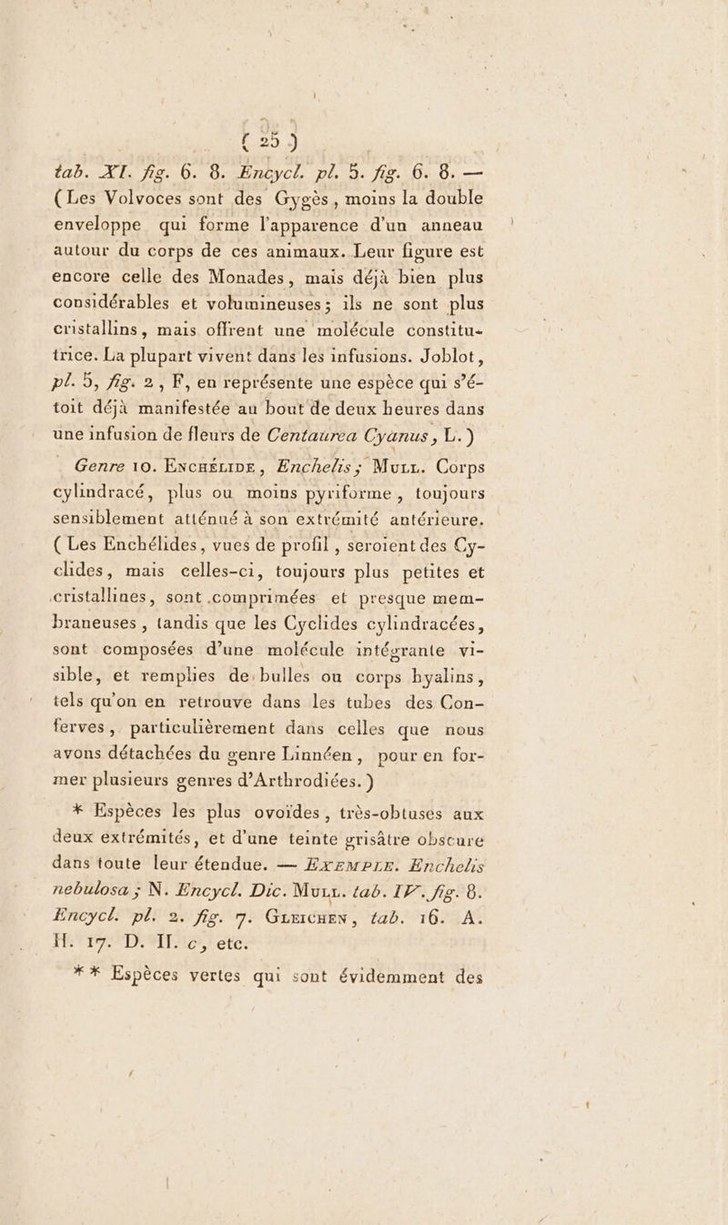 tab. xt. FATAL E Enaycl. URL ve 6. 8. — (Les Volvoces sont des Gygès, moins la double enveloppe qui forme l'apparence d'un anneau autour du corps de ces animaux. Leur figure est encore celle des Monades, mais déjà bien plus considérables et volumineuses; ils ne sont plus cristallins, mais offrent une molécule constitu+ trice. La plupart vivent dans les infusions. Joblot, pl. 5, fig. 2,F, en représente une espèce qui s’é- toit déjà manifestée au bout de deux heures dans une infusion de fleurs de Centaurea Cyanus, 1) Genre 10. Escaéune, Enchelis; Mur. Corps cylindracé, plus ou moins pyriforme, (odjouts sensiblement atténué à son extrémité antérieure. ( Les Enchélides, vues de profil , seroient des Cy- chdes, mais Aer toujours plus petites et cristallines, sont .comprimées et presque mem braneuses , tandis que les Cyclides cylindracées, sont composées d’une molécule intégrante vi- sible, et remplies de:bulles ou corps hyalins, tels qu'on en retrouve dans les tubes des Con- ferves, particulièrement dans celles que nous avons détachées du genre Linnéen, pour en for- mer plusieurs genres d’Arthrodiées.) * Espèces les plus ovoïdes, très-obtuses aux deux extrémités, et d’une teinte grisâtre obscure dans toute leur étendue. — Exemeprre. Enchelis nebulosa ; N. Encycl. Dic. Murz. tab. IF. fig. 8. Encycl pl, 2. fig. 7. Gzricnen, tab. 16. A. He 17 PDP SITES) etc: ** Espèces vertes qui sont évidemment des