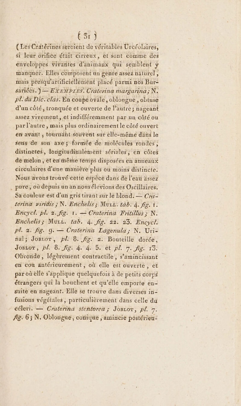 ES) (Les Crétérines seroient de véritables Ürcéolaires, Si leur orifice étäit cirreux, et sont comme des énveloppes Vivaites ETAT qui semblent y manquer. Elles composent un genre assez naturel, mais presqu' attüificiellément Rod parmi nos Bur- sariéés. Y—ExeMprEs. Craterina MATSATIna ; N. pl. dil Dic. clas. En coupe ovale, oblongue, obtuse d’un côlé, tronquée et ouverte da Pidtre : ; nageant assez vivement, et indifféremment par un côté ou par l’autre , mais plus ordinairement le côté ouvert en avatit ; tourndht souvent sur elle-même dans le sens de son axe ; formée de molécules rondes , distinctes, longitudinalemént sériales, en côtes dé melon , èt en même temps disposées en anneaux circulaires d’une manière plus où moins distincte. Nous avons trouvé cette espèce dans de l’eat assez _ puré,, où depuis un an nousélévions des Oscilläires. Sa couleur est d’un gris tirant sur le blond, = Cra- térina viridis ; N. Enchelis; Murt. tb. rl: Encycl. pl. 2..fig. 1. — Craterina Fritillus ; N. Enchelis; Mur. tab. 4. fig. 22. 93. Encycl. P?. 2. fig. O. — Cratérina Lag genula; N. Uri- al; Josror, pl 8. fig. 2. Bouteille dorée, pers y PE BUJIE. 4.4.5, et pl. 7. fig. 13. Obronde , légèrement contractile, s’amincissant en coù antérieurement , où élle est ouverte ut par où elle s'applique quelquefois à de petits corps étrangers qui la bouchent et qu’ellé emporte en- suite en nageant. Elle se trouve dans diverses in- fusions végétales, patticulièrement dans celle du céleri. — Craterina sténtorea ; Josror, pl. 7. Ag. 63 N. Oblongué, coniqué | amincié postérieu-