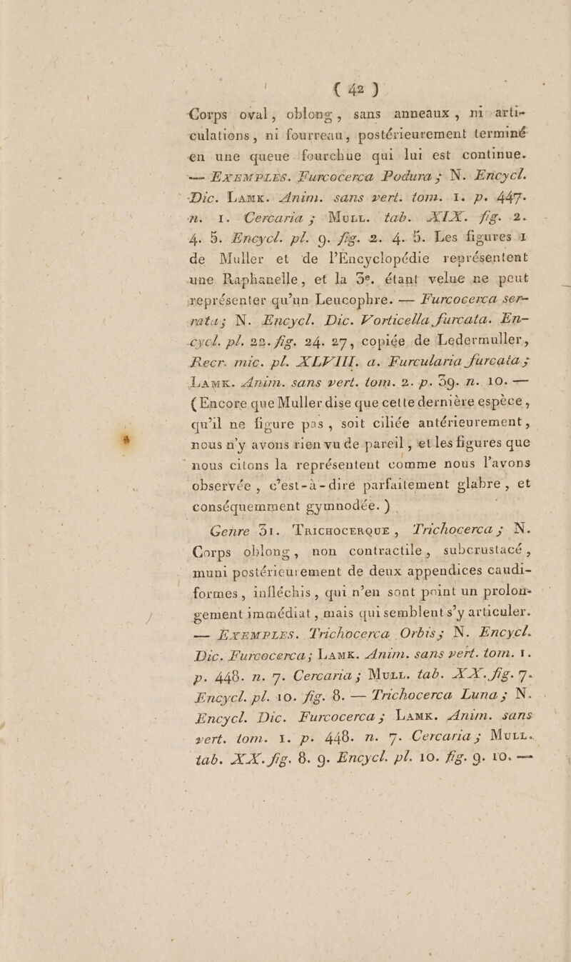 | C4) Corps oval, oblong, sans anneaux, nm arti- culations, ni fourreau, postérieurement terminé en une queue fourchue qui lui est continue. — ExsMPLes. Furcocerca Podura; N: Encycl. Dic. Lawux. Anim. sans vert. lom. 1. p. 447. n. 1. Cercaria ; Muur. tab. AIX. fig. 4. 5. Encycl. pl. 0. fig. 2. 4.5. Les figures x de Muller et de l'Encyclopédie représentent une Raphauelle, et la 5°. étant velue ne peut représenter qu’un Leucophre. — Furcocerca ser- ratu; N. Encycl. Dic. Vorticella furcata. En- cycl. pl. 22. fig. 24. 27, copiée de Ledermuller, Recr. mic. pl XLVILL. a. Furcularia furcaia ; Lamx. Anim. sans vert. tom. 2. p. 59.1. 10. — (Encore que Muller dise que cette dernière espèce, qu'il ne figure pes , soit ciliée antérieurement, nous n'y avons rien vu Ge pareil, et les figures que nous citons la représentent comme nous l’avons observée , c’est-à-diré parfaitement glabre, et conséquemment gymnodée. ) ï Genre 31. Tricuocerque , Trichocerca ; N. Corps oblong, non contractile, subcrustacé , muni postérieurement de deux appendices caudi- formes, infléchis, qui n’en sont point un prolon- gement immédiat, mais qui semblents’y articuler. — EXEMPLES. Trichocerca Orbis; N. Encycl. Dic. Furcocerca; LaAmK. Anim. sans vert. tom. 1. p. 448. n. 7. Cercaria ; Muzz. tab. XX. fig. 7. Encycl. pl. 10. fig. 8. — Tnchocerca Luna ; N. Encycl. Dic. Furcocerca; Lamk. Anim. sans vert. tom. 1. p. 448. n. 7. Cercaria; Mur.