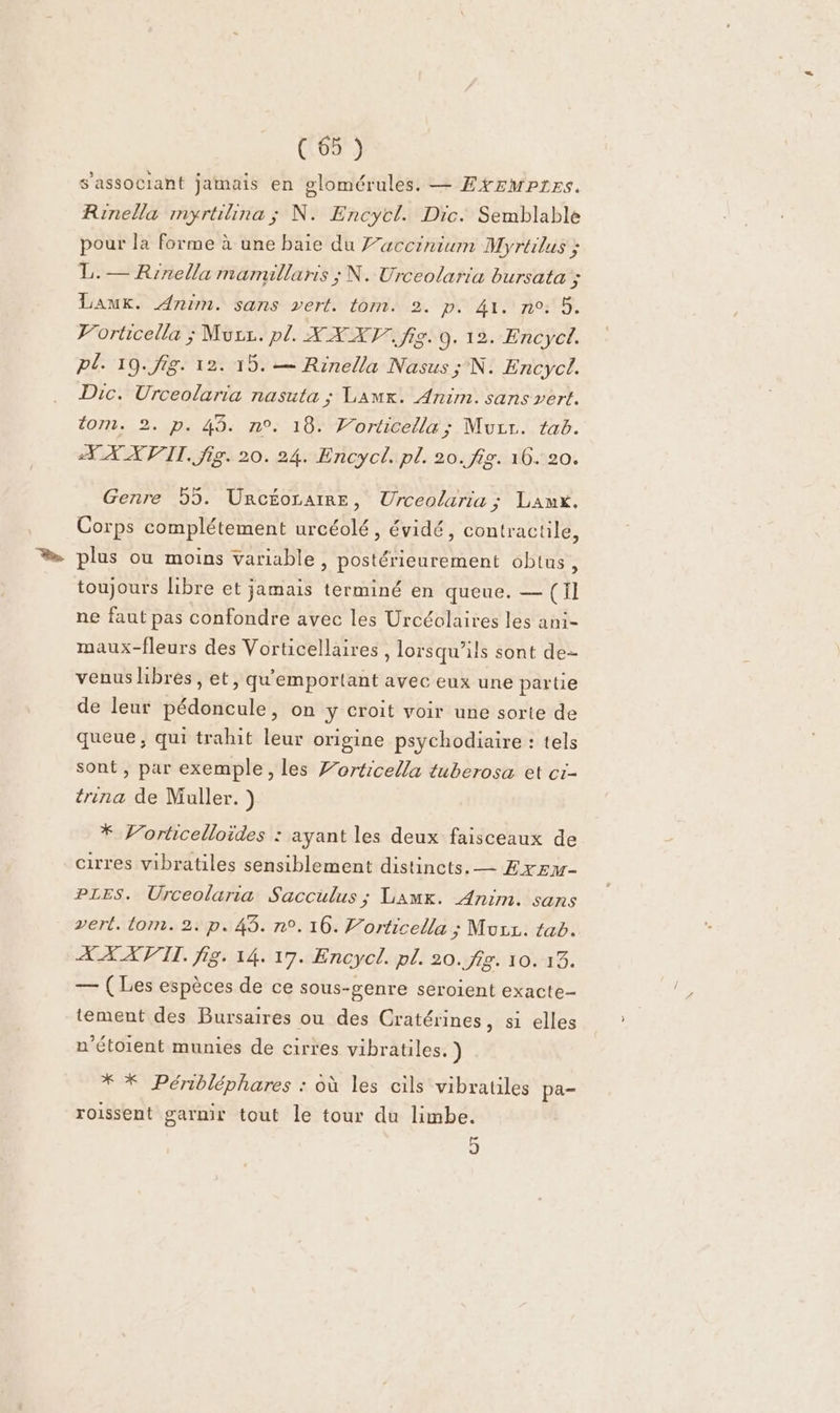 s’associant jamais en glomérules. — Exzmptes. Rinella myrtilina; N. Encycl. Dic. Semblable pour la forme à une baie du Jaccinium Myrtilus ; L. — Rinella mamullaris ; N. Urceolaria bursata ; Lauk. Anim. sans vert. tom. 2. p. 41. n°: 5. Porticella ; Murz. pl. XX XF. fig. 0. 12. Encyct. pl. 19..fig. 12. 15. — Rinella Nasus ; N. Encyct. Dic. Urceolaria nasuta ; LAmr. Anim. sans vert. tom. 2. p. 45. n°. 18. V’orticella; Mucr. tab. FAX VIT. fig. 20. 24. Encycl. pl. 20. fig. 16. 20. Genre 95. UÜnrcéoraIRE, Urceolaria ; Laux. Corps complétement urcéolé, évidé, contractile, plus ou moins variable , postérieurement 6btns, toujours libre et jamais terminé en queue. — (ïl ne faut pas confondre avec les Urcéolaires les ani- maux-fleurs des Vorticellaires , lorsqu'ils sont de venus hbres, et, qu'emportant avec eux une parte de leur pédoncule, on y croit voir une sorte de queue, qui trahit leur origine psychodiaire : tels sont, par exemple, les Zorticella tuberosa et ci- trina de Muller. ) * Vorticelloides : ayant les deux faisceaux de cirres vibratiles sensiblement distincts. — £xrzm- PLES. Urceolaria Sacculus ; Lamx. Anim. sans vert. tom. 2. p. 45. n°. 16. Forticella ; Muzz. tab. XX XVII. fig. 14. 17. Encycl. pl. 20. fig. 10. 13. — (Les espèces de ce sous-genre seroient exacte- tement des Bursaires ou des Cratérines, si elles n’étoient munies de cirres vibratiles. ) * * Pénbléphares : où les cils vibratiles pa- roissent garmir tout le tour du limbe. 9