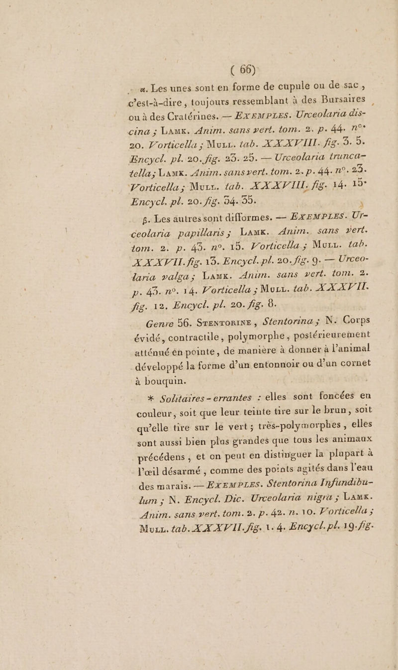 e. Les unes sont en forme de cupule ou de sac, c’est-à-dire , toujours ressemblant à des Bursaires ou à des Cratérines. — Exemp1Es. Urceolaria dis- cina ; Lau. Anim. sans vert. tom. 2. p. 44 n°* 20. Porticella ; Muzs. tab. XX AVI. 8: DL ÆEncycl. pl. 20. fig. 25.25. — Urceolaria trunca- tella; Lawx. Anim. sans vert. tom. 2. p.44. 7°: 22. Porticella; Murs. tab. XX XVIII, f8+ 14: 19° Encycl. pl. 20. fig. 34.59. | 8. Les autres sont difformes. — ExeMPzes. Ur- ceolaria papillaris ; Lam. Anim. sans vert. tom. 2. p. 45. n°. 15. Forticella ; Murz. tab. XXXVII. fig. 13. Encycl.pl. 20. fig. 9. — Urceo- laria valga; Laux. Anim. sans vert. tom. 2. p. 43. n°. 14. Vorticella ; Muzz. tab. XX AVIT. fig. 12. Encycl. pl. 20. f8. Ô. Genre 56. Srenromine, Séentorina; N: Corps évidé, contractile, polymorphe, postérieurement atténué én pointe, de maniere à donner à l’animal développé la forme d’un entonnoir ou d’un cornet à bouquin. | * Solitaires-errantes : elles sont foncées en couleur, soit que leur teinte tire sur le brun, soit qu’elle tire sur le vert ; très-polymorphes , elles sont aussi bien plas grandes que tous les animaux précédens , et on peut en distinguer la plupart à l'œil désarmé , comme des points agités dans l’eau des marais. — ExemPzes. Stentorina [nfundibu- Zum ; N. Encycl. Dic. Urceolaria nigra ; LAMK. Anim. sans vert. tom. 2. p.42. n. 10. Vorticella ; Muzz. tab. XX XVII. fig. 1.4. Encycl.pl.19.f8.