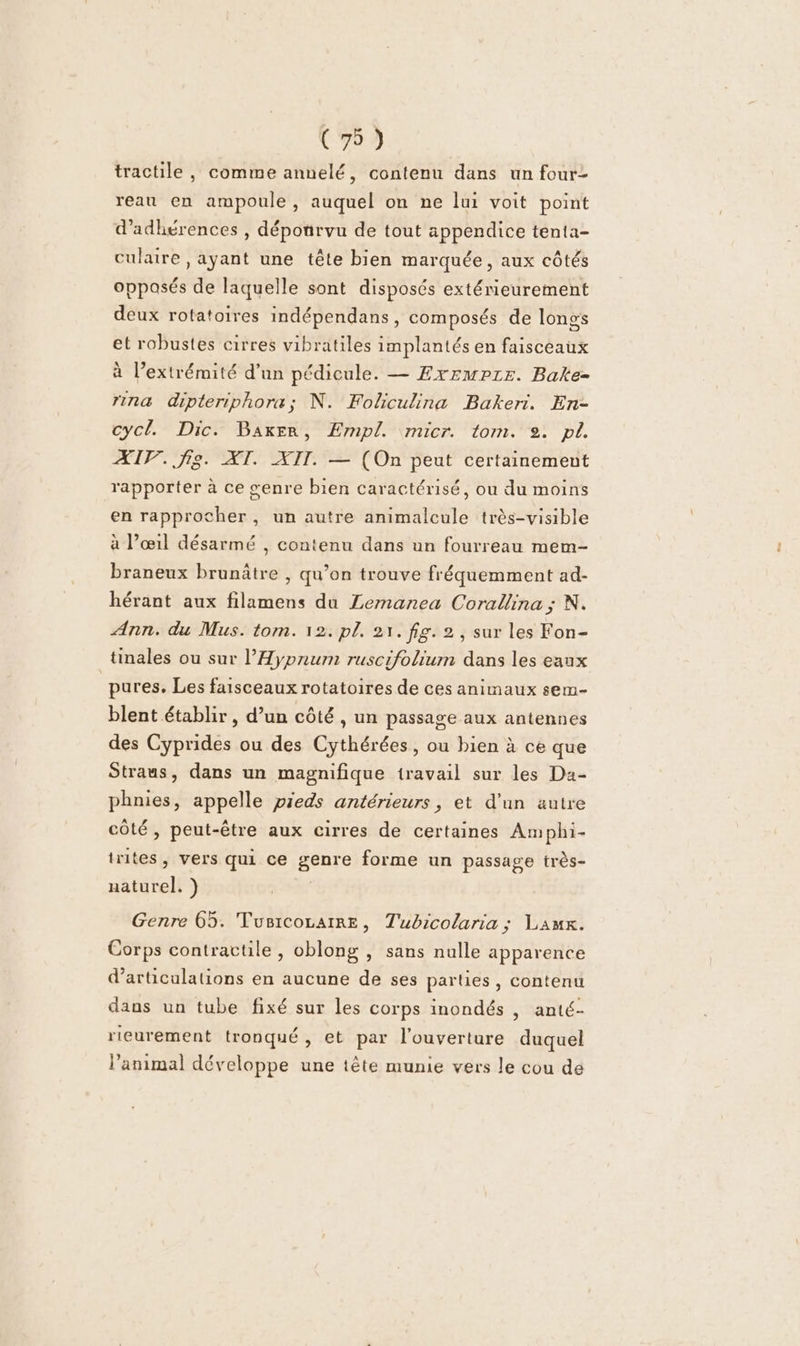 tractile , comme annelé, contenu dans un four- reau en ampoule, auquel on ne lui voit point d’adhérences , dépourvu de tout appendice tenta- culaire , ayant une tête bien marquée, aux côtés opposés de laquelle sont disposés extérieurement deux rotatoires indépendans, composés de longs et robustes cirres vibratiles implantés en faisceaux à l'extrémité d’un pédicule. — Exrmpre. Bake- rinæ dipteriphora; N. Foliculina Bakeri. En- cycl. Dic. Baker, ÆErmpl. micr. tom. 2. pl. ATV. fig. AT. XII. — (On peut certainement rapporter à ce genre bien caractérisé, ou du moins en rapprocher, un autre animalcule très-visible à l’œil désarmé , contenu dans un fourreau mem- braneux brunâtre , qu’on trouve fréquemment ad- hérant aux filamens du Zemanea Corallina ; N. Ann. du Mus. tom. 12. pl. 21. fig. 2, sur les Fon- tinales ou sur l’Hypnum ruscifolium dans les eaux pures. Les faisceaux rotatoires de ces animaux sem- blent établir , d’un côté , un passage aux antennes des Cyprides ou des Cythérées, ou bien à ce que Straus, dans un magnifique travail sur les Da- phnies, appelle pieds antérieurs, et d'un autre côté, peut-être aux cirres de certaines Amphi- trites, vers qui ce genre forme un passage très- naturel. ) Genre 65. TusicocatRe, Tubicolaria ; Law. Corps contractile, oblong , sans nulle apparence d’articulations en aucune de ses parties, contenu dans un tube fixé sur les corps inondés , anté- rieurement tronqué , et par l'ouverture duquel l'animal développe une tête munie vers le cou de