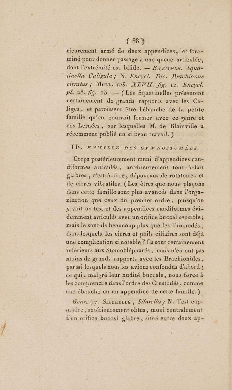 7e rieurement armé de deux appendices, et fora- miné pour donner passage à une queue articulée, dont l’extrémité est bifide. — Exzmpre. Squa- cirratus ÿ Mur. tab. XLVWIT. fig. 12. Encycl. pl. 28. fig. 13. — (Les Squatinelles présentent cerlainement de grands rapports avec les Ca- lges, et paroissent être l’ébauche de la petite famille qu’on pourroit former avec ce genre et ces Lernées, sur lesquelles M. de Blainville à récemment publié un si beau travail. ) IIo FAMILLE DES CYMNOSTOMÉES. Corps postérieurement muni d'appendices cau- diformes articulés, antérieurement tout -à-fait glabres , c’est-à-dire, dépourvus de rotatoires et de cirres vibratiles. ( Les êtres que nous plaçons dans cette famille sont plus avancés dans l’orga- nisation que ceux du premier ordre, puisqu'on y voit un test et des appendices caudiformes évi- demment articulés avec un orifice buccal sensible; mais le sont-ils beaucoup plus que les Trichodés , dans lesquels les cirres et poils cihiaires sont déjà une complication si notable ? Ils sont certainement inférieurs aux Stomoblépharés , mais n’en ont pas moins de grands rapports avec les Brachionides, parmi lesquels nous les avions confondus d’abord ; :e qui, malgré leur nudité buccate, nous force à es comprendre dans l'ordre des Crustodés , comme Genre 77. Sivurezze , Silurella ; N. Test cap- sulaire, antérieurement obtus, muni centralement d’un onfice buccal glabre , situé entre deux ap-