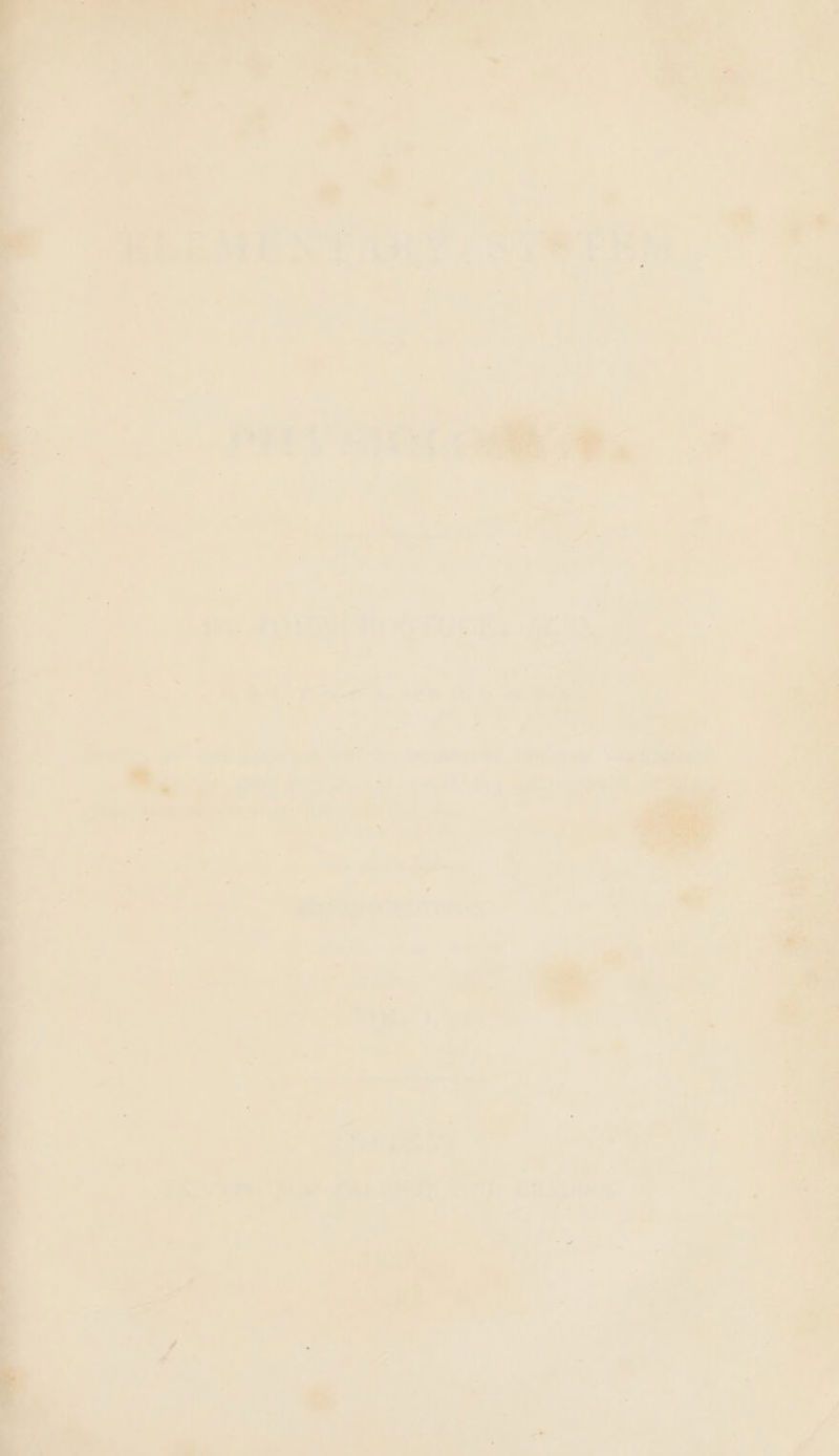 ORY ae eee | a 7 ae _ : Sa Gee ‘ 3s ho . Eatany : Set eM _ 7 - ; i ; — » * wr Si odie .9 Pesta Ge -4 6 ow ‘ > a 1) aa és el pat hy fess. re Pils : ‘  >
