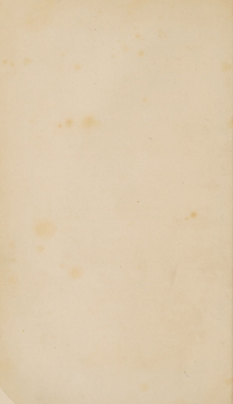 ane | ~~ i 7 T by ? eo as |S 7