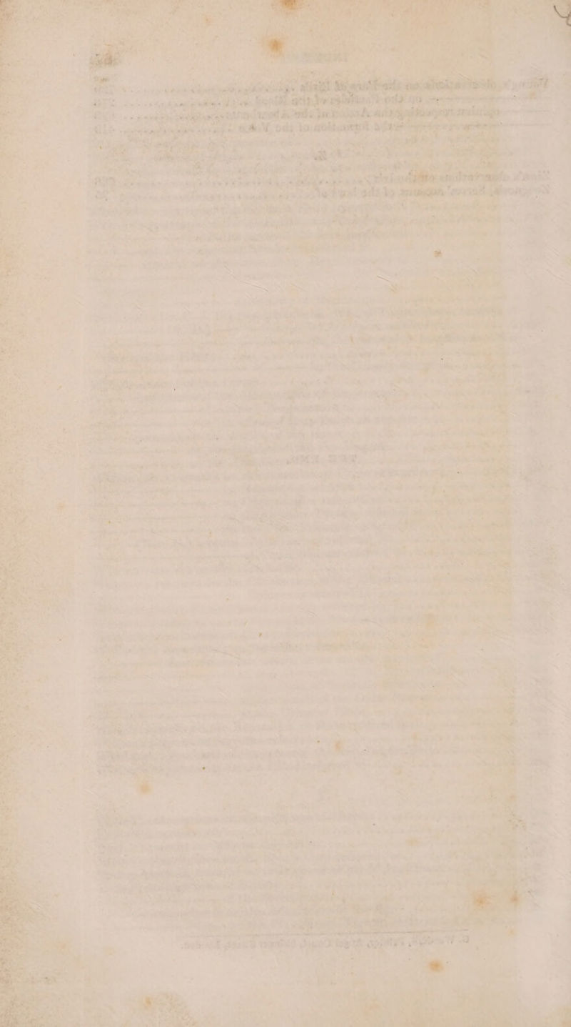 Piss rg | &gt; i art ‘wT ghee, PS tie ye iad tk skh pie wee sonar saabitig shickotis oh SE Sy war yo a ha eee rae vers pute Samick *s af er aed sak ape oo ee ‘ee +4 ) Ata ed i age Te gf ty «ae sn woe amlases &gt; . is y RARER Fhe Rosy.) . Bt say es ph SOAS? atom be VAR ee ‘iar vay ei - as o te &lt;aiies aes tals deca ae i ee ry . 4 4 * s® Hse. J : = ( Ar Se hg a sega : ar’ se eee ee ene ar. 4 jee iixaed teint Jt sillier ns Be bug aoe mags e's * mat ia Wh hay y Lm ite $m) atte “* haat Yr + re ae erry . gti a5 ie ig oe 2s Ba diac Nt he ef Cig sithe ah yay ity es 4 arts ae Na Ss ates ad ih Le ao apes 0, need 8 ee x palo eet yas ae a slice * a ae Sac aee ; Nomen ae seen , p AR e Seats