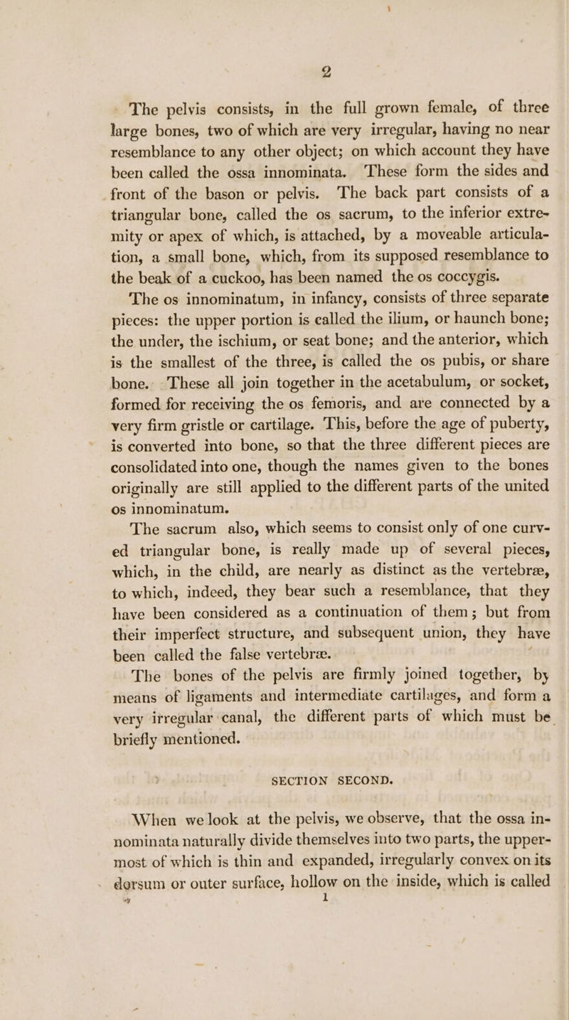 _ The pelvis consists, in the full grown female, of three large bones, two of which are very irregular, having no near resemblance to any other object; on which account they have been called the ossa innominata. These form the sides and front of the bason or pelvis. The back part consists of a triangular bone, called the os sacrum, to the inferior extre- mity or apex of which, is attached, by a moveable articula- tion, a small bone, which, from its supposed resemblance to the beak of a cuckoo, has been named the os coccygis. The os innominatum, in infancy, consists of three separate pieces: the upper portion is called the ilium, or haunch bone; the under, the ischium, or seat bone; and the anterior, which is the smallest of the three, is called the os pubis, or share bone. These all join together in the acetabulum, or socket, formed for receiving the os femoris, and are connected by a very firm gristle or cartilage. This, before the age of puberty, is converted into bone, so that the three different pieces are consolidated into one, though the names given to the bones originally are still applied to the different parts of the united Os innominatum. The sacrum also, which seems to consist only of one curv- ed triangular bone, is really made up of several pieces, which, in the child, are nearly as distinct as the vertebre, to which, indeed, they bear such a resemblance, that they have been considered as a continuation of them; but from their imperfect structure, and subsequent union, hiey have been called the false vertebre. The bones of the pelvis are firmly joined together, by means of ligaments and intermediate cartilages, and form a very irregular canal, the different parts of which must be. briefly mentioned. SECTION SECOND. When we look at the pelvis, we observe, that the ossa in- nominata naturally divide themselves into two parts, the upper- most of which is thin and expanded, irregularly convex on its dorsum or outer surface, hollow on the inside, which is called 4 l
