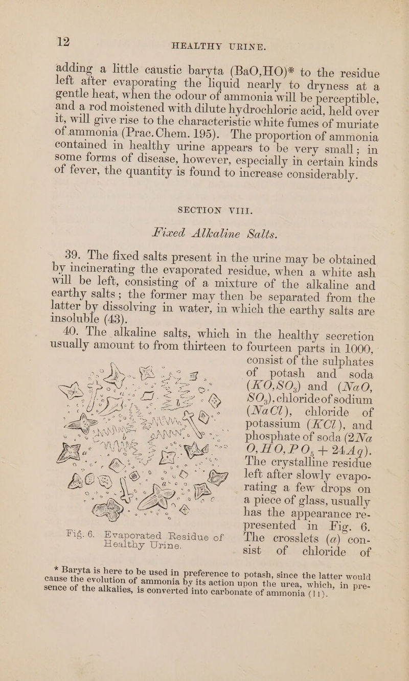 adding a little caustic baryta (BaO,HO)* to the residue left after evaporating the ‘liquid nearly to dryness at a gentle heat, ee the odour of ammonia will be perceptible, and a rod moistened with dilute hydrochloric acid, held over it, will give rise to the characteristic white fumes of muriate of ammonia (Prac.Chem. 195). The proportion of ammonia contained in healthy urine appears to be very small; in some forms of disease, however, especially in certain kinds of fever, the quantity is found to increase considerably. SECTION VIII. Fixed Alkaline Salts. 39. The fixed salts present in the urine may be obtained by incinerating the evaporated residue, when a white ash will be left, consisting of a mixture of the alkaline and earthy salts; the former may then be separated from the latter by dissolving in water, in which the earthy salts are Bonin. (43). 40. The alkaline salts, which in the healthy secretion usually amount to from thirteen to fourteen parts in 1000, » consist of the sulphates of potash and soda (KO,SO,) and (Nao, SO,), chloride of sodium Efe P88 Ee, Oe (NaCl), chloride of Se SAIN A> potassium (ACZ), and Ne ANE NADI.» Np phosphate of soda (2a S O, HO, PO, + 24Aq). The crystalline residue left after slowly evapo- rating a few drops on a piece of glass, usually has the appearance re- presented in Fig. 6. Pig. 6. Evaporated Residue of The crosslets (a) con- Healthy Urine. sist of chloride of * Baryta is here to be used in preference to potash, since the latter would cause the evolution of ammonia by its action upon the urea, which, in pre- sence of the alkalies, is converted into carbonate of ammonia Clin):
