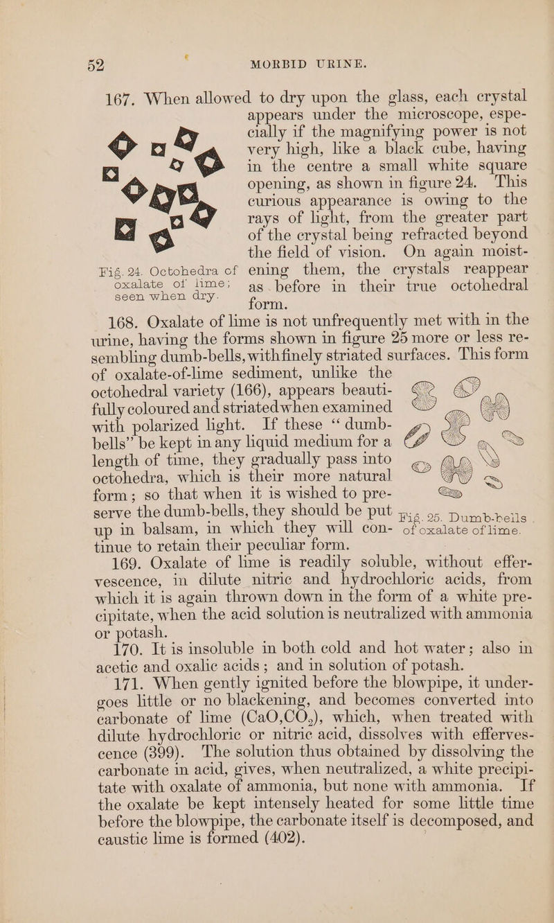 52 MORBID URINE. 167. When allowed to dry upon the glass, each crystal appears under the microscope, espe- ky cially if the magnifying power is not } ky very high, like a black cube, having re &amp;y in the centre a small white square om e| opening, as shown in figure 24. This curious appearance is owing to the + | e | yy rays of light, from the greater part @ of the erystal being refracted beyond the field of vision. On again moist- Fig. 24. Octohedra cf ening them, the erystals reappear oxalate of lime; ag before in their true octohedral seen when dry. Peon 168. Oxalate of lime is not unfrequently met with in the urine, having the forms shown in figure 25 more or less re- sembling dumb-bells, withfinely striated surfaces. This form of oxalate-of-lime sediment, unlike the octohedral variety (166), appears beauti- fully coloured and striated when examined with polarized light. If these ‘‘ dumb- bells” be kept in any liquid medium for a length of time, they gradually pass into octohedra, which is their more natural form; so that when it is wished to pre- serve the dumb-bells, they should be put , 3.95. Dumb-bells up in balsam, in which they will con- ofoxalate of lime. tinue to retain their peculiar form. 169. Oxalate of lime is readily soluble, without effer- vescence, in dilute nitric and hydrochloric acids, from which it is again thrown down in the form of a white pre- cipitate, when the acid solution is neutralized with ammonia or potash. 170. It is insoluble in both cold and hot water; also in acetic and oxalic acids; and in solution of potash. 171. When gently ignited before the blowpipe, it under- goes little or no blackening, and becomes converted into carbonate of lime (CaO,CO,), which, when treated with dilute hydrochloric or nitric acid, dissolves with efferves- cence (399). The solution thus obtained by dissolving the carbonate in acid, gives, when neutralized, a white precipi- tate with oxalate of ammonia, but none with ammonia. If the oxalate be kept intensely heated for some little time before the blowpipe, the carbonate itself is decomposed, and caustic lime is formed (402).