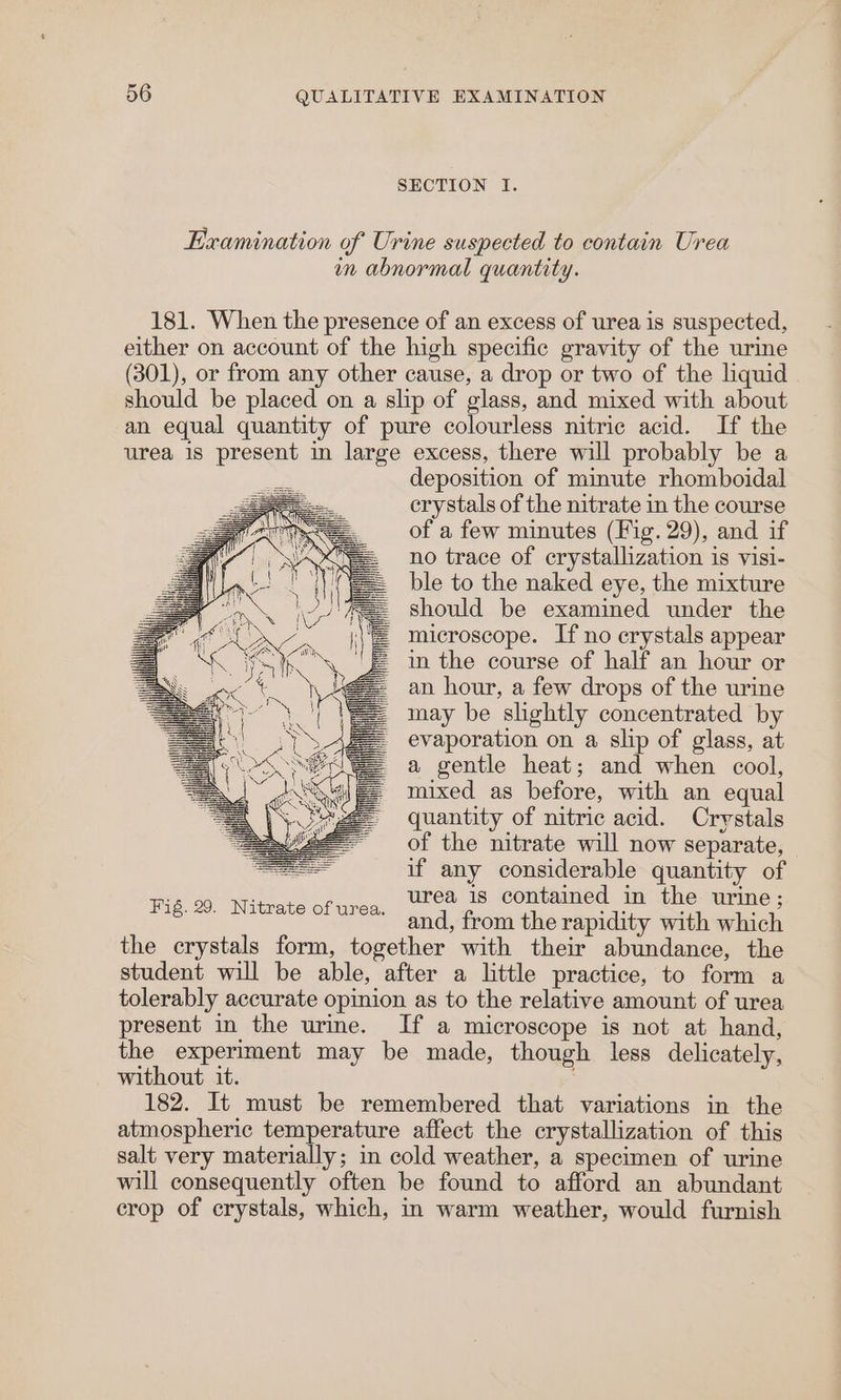 SECTION I. Examination of Urine suspected to contain Urea in abnormal quantity. 181. When the presence of an excess of urea is suspected, either on account of the high specific gravity of the urine (301), or from any other cause, a drop or two of the liquid should be placed on a slip of glass, and mixed with about an equal quantity of pure colourless nitric acid. If the urea is present in large excess, there will probably be a deposition of minute rhomboidal crystals of the nitrate in the course of a few minutes (Fig. 29), and if = no trace of crystallization is visi- == ble to the naked eye, the mixture == should be examined under the microscope. If no crystals appear = in the course of half an hour or an hour, a few drops of the urine . may be slightly concentrated by - evaporation on a slip of glass, at a gentle heat; and when cool, mixed as before, with an equal quantity of nitric acid. Crystals of the nitrate will now separate, if any considerable quantity of urea is contained in the urine; and, from the rapidity with which the crystals form, together with their abundance, the student will be able, after a little practice, to form a tolerably accurate opinion as to the relative amount of urea present in the urine. If a microscope is not at hand, the experiment may be made, though less delicately, without it. 182. It must be remembered that variations in the atmospheric temperature affect the crystallization of this salt very materially; in cold weather, a specimen of urine will consequently often be found to afford an abundant crop of crystals, which, in warm weather, would furnish