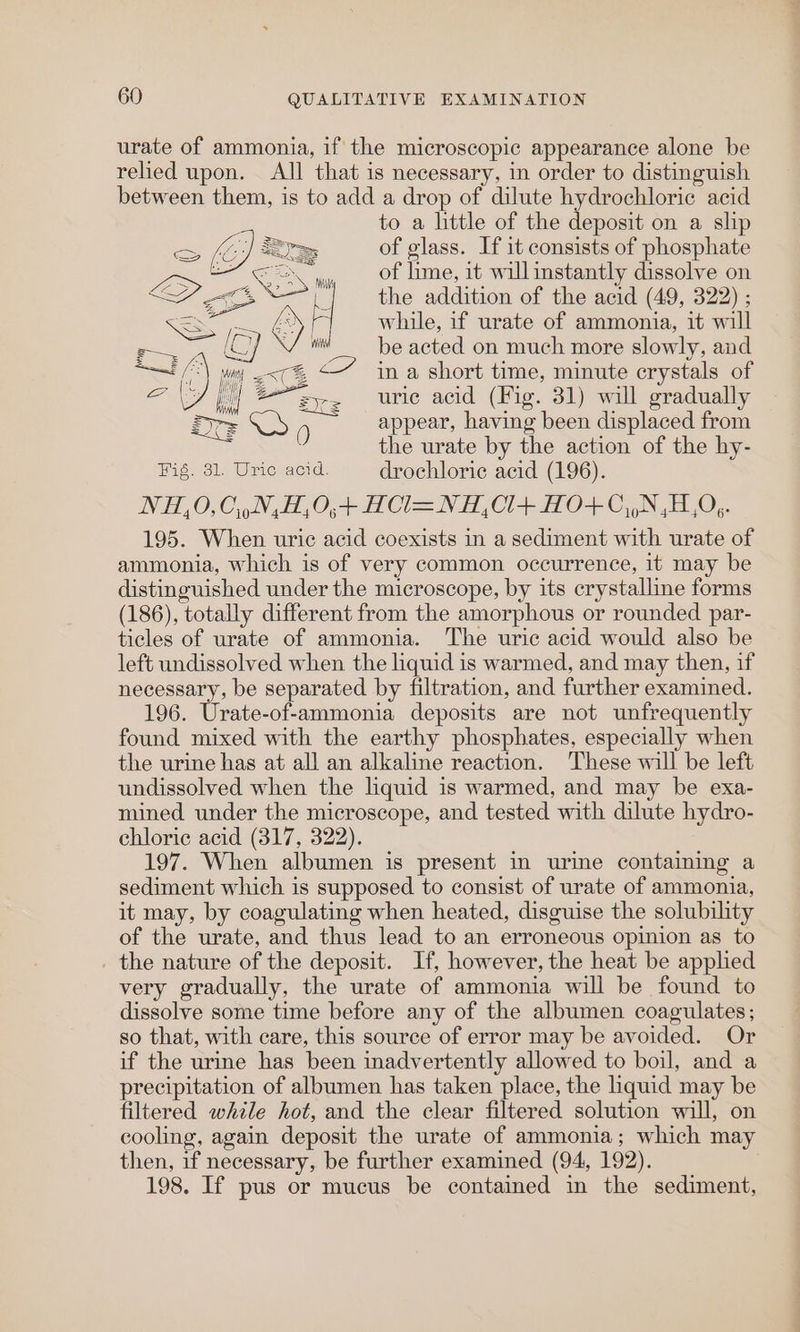 urate of ammonia, if the microscopic appearance alone be relied upon. All that is necessary, in order to distinguish between them, is to add a drop of dilute hydrochloric acid to a little of the deposit on a ship of glass. If it consists of phosphate of lime, it will instantly dissolve on the addition of the acid (49, 322) ; while, if urate of ammonia, it will wi’ be acted on much more slowly, and -€, &lt;” ina short time, minute crystals of “sy&lt; uric acid (Fig. 31) will gradually appear, having been displaced from the urate by the action of the hy- Fig. 31. Uric acid. drochloric acid (196). NH,0,C,,N,H,0,+ HCl=NH,C1+ HO+C,,N,H,O,. 195. When uric acid coexists in a sediment with urate of ammonia, which is of very common occurrence, it may be distinguished under the microscope, by its crystalline forms (186), totally different from the amorphous or rounded par- ticles of urate of ammonia. The uric acid would also be left undissolved when the liquid is warmed, and may then, if necessary, be separated by filtration, and further examined. 196. Urate-of-ammonia deposits are not unfrequently found mixed with the earthy phosphates, especially when the urine has at all an alkaline reaction. These will be left undissolved when the liquid is warmed, and may be exa- mined under the microscope, and tested with dilute hydro- chloric acid (317, 322). 197. When albumen is present in urime containing a sediment which is supposed to consist of urate of ammonia, it may, by coagulating when heated, disguise the solubility of the urate, and thus lead to an erroneous opinion as to . the nature of the deposit. If, however, the heat be applied very gradually, the urate of ammonia will be found to dissolve some time before any of the albumen coagulates; so that, with care, this source of error may be avoided. Or if the urine has been inadvertently allowed to boil, and a precipitation of albumen has taken place, the liquid may be filtered while hot, and the clear filtered solution will, on cooling, again deposit the urate of ammonia; which may then, if necessary, be further examined (94, 192). 198. If pus or mucus be contained in the sediment,