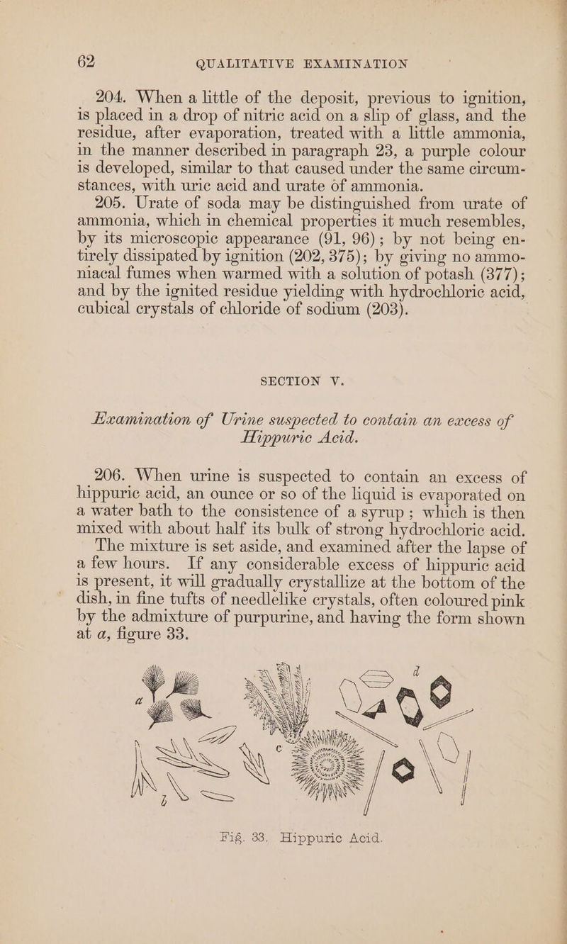 204. When a little of the deposit, previous to ignition, is placed in a drop of nitric acid on a slip of glass, and the residue, after evaporation, treated with a little ammonia, in the manner described in paragraph 23, a purple colour is developed, similar to that caused under the same circum- stances, with uric acid and urate of ammonia. 205. Urate of soda may be distinguished from urate of ammonia, which in chemical properties it much resembles, by its microscopic appearance (91, 96); by not being en- tirely dissipated by ignition (202, 375); by giving no ammo- niacal fumes when warmed with a solution of potash (377) ; and by the ignited residue yielding with hydrochloric acid, cubical crystals of chloride of sodium (203). SECTION V. Haamination of Urine suspected to contain an excess of Hippuric Acid. 206. When urine is suspected to contain an excess of hippuric acid, an ounce or so of the liquid is evaporated on a water bath to the consistence of a syrup; which is then mixed with about half its bulk of strong hydrochloric acid. The mixture is set aside, and examined after the lapse of afew hours. If any considerable excess of hippuric acid is present, it will gradually crystallize at the bottom of the dish, in fine tufts of needlelike crystals, often coloured pink by the admixture of purpurine, and having the form shown at a, figure 33. —