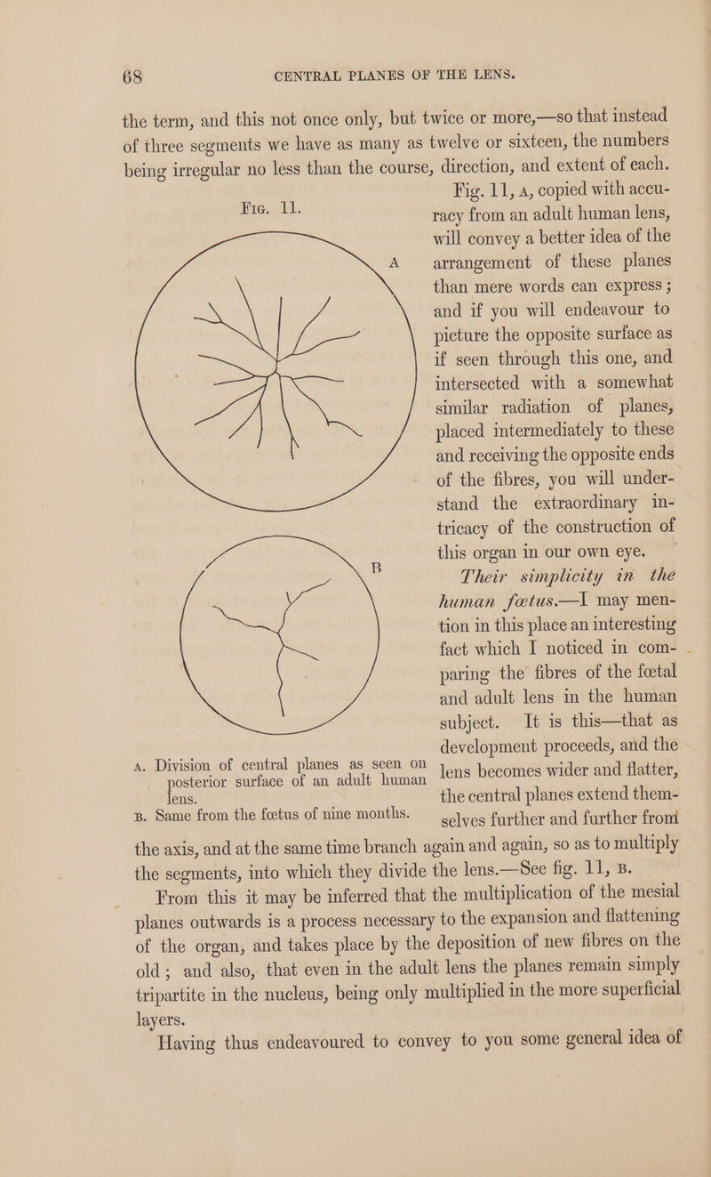 the term, and this not once only, but twice or more,—so that instead of three segments we have as many as twelve or sixteen, the numbers being irregular no less than the course, direction, and extent of each. Fig. 11, a, copied with accu- racy from an adult human lens, will convey a better idea of the arrangement of these planes than mere words can express ; and if you will endeavour to picture the opposite surface as if seen through this one, and intersected with a somewhat similar radiation of planes, placed intermediately to these and receiving the opposite ends of the fibres, you will under- stand the extraordinary in- tricacy of the construction of this organ In our own eye. Their simplicity tn the human foetus.—Il may men- tion in this place an interesting fact which I noticed in com- ~ paring the fibres of the foetal and adult lens in the human subject. It is this—that as at development proceeds, and the A. Division of central planes as seen on ine hewemes wider aia ieee posterior surface of an adult human ? lens. : the central planes extend them- z. Same from the foetus of nine months. selves further and further frond the axis, and at the same time branch again and again, so as to multiply the segments, into which they divide the lens.—See fig. 11, B. From this it may be inferred that the multiplication of the mesial planes outwards is a process necessary to the expansion and flattening of the organ, and takes place by the deposition of new fibres on the old; and also, that even in the adult lens the planes remain simply tripartite in the nucleus, being only multiplied in the more superficial layers. | Having thus endeavoured to convey to you some general idea of